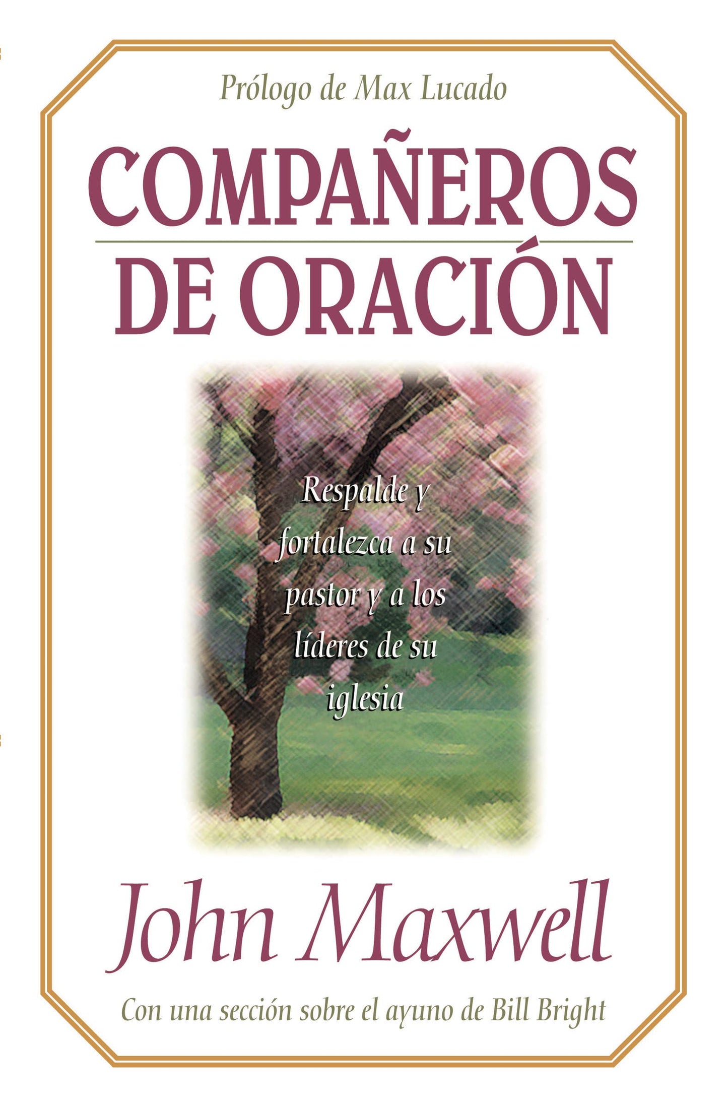 Compañeros De Oración