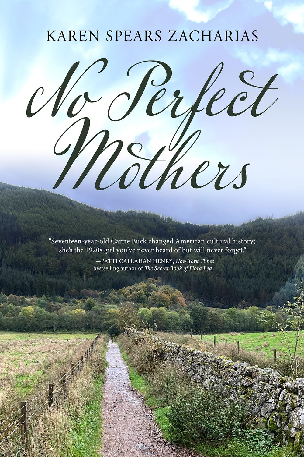 No Perfect Mothers - 5076