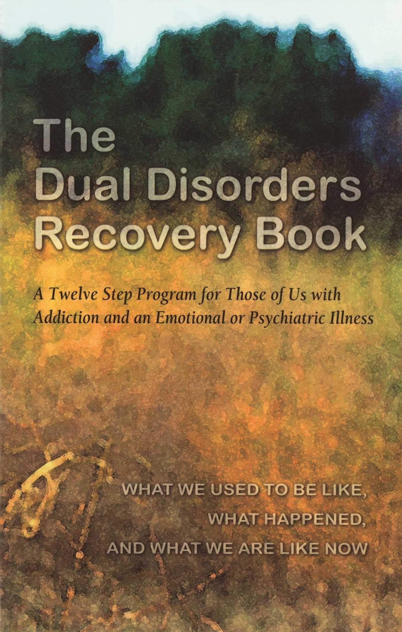 The Dual Disorders Recovery Book: A Twelve Step Program for Those of Us with Addiction and an Emotional or Psychiatric Illness - 3759