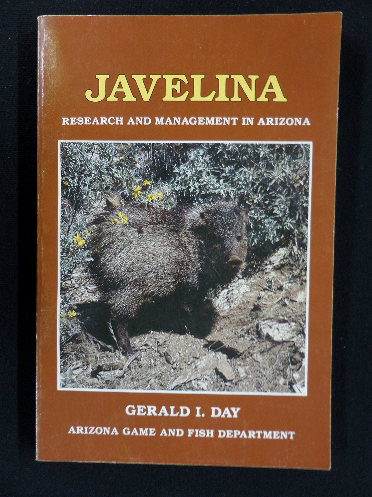 Javelina research and management in Arizona