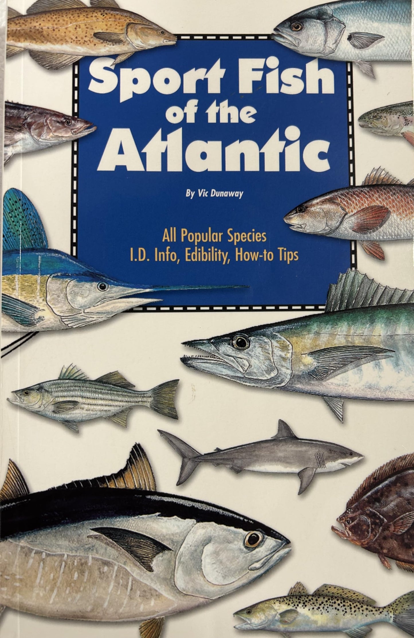 Sport Fish of the Atlantic