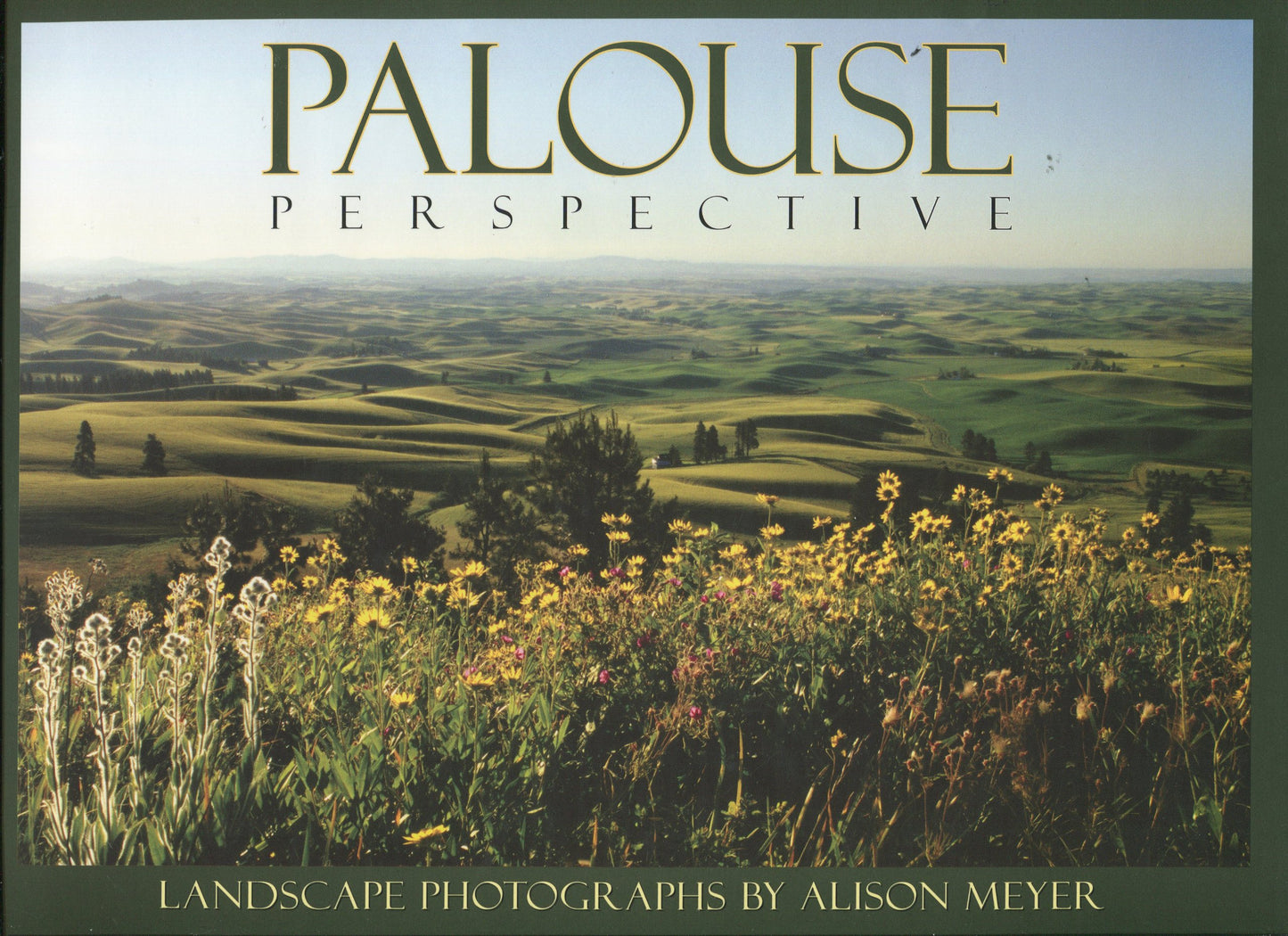 Palouse Perspective: Landscapte Photography by Alison Meyer