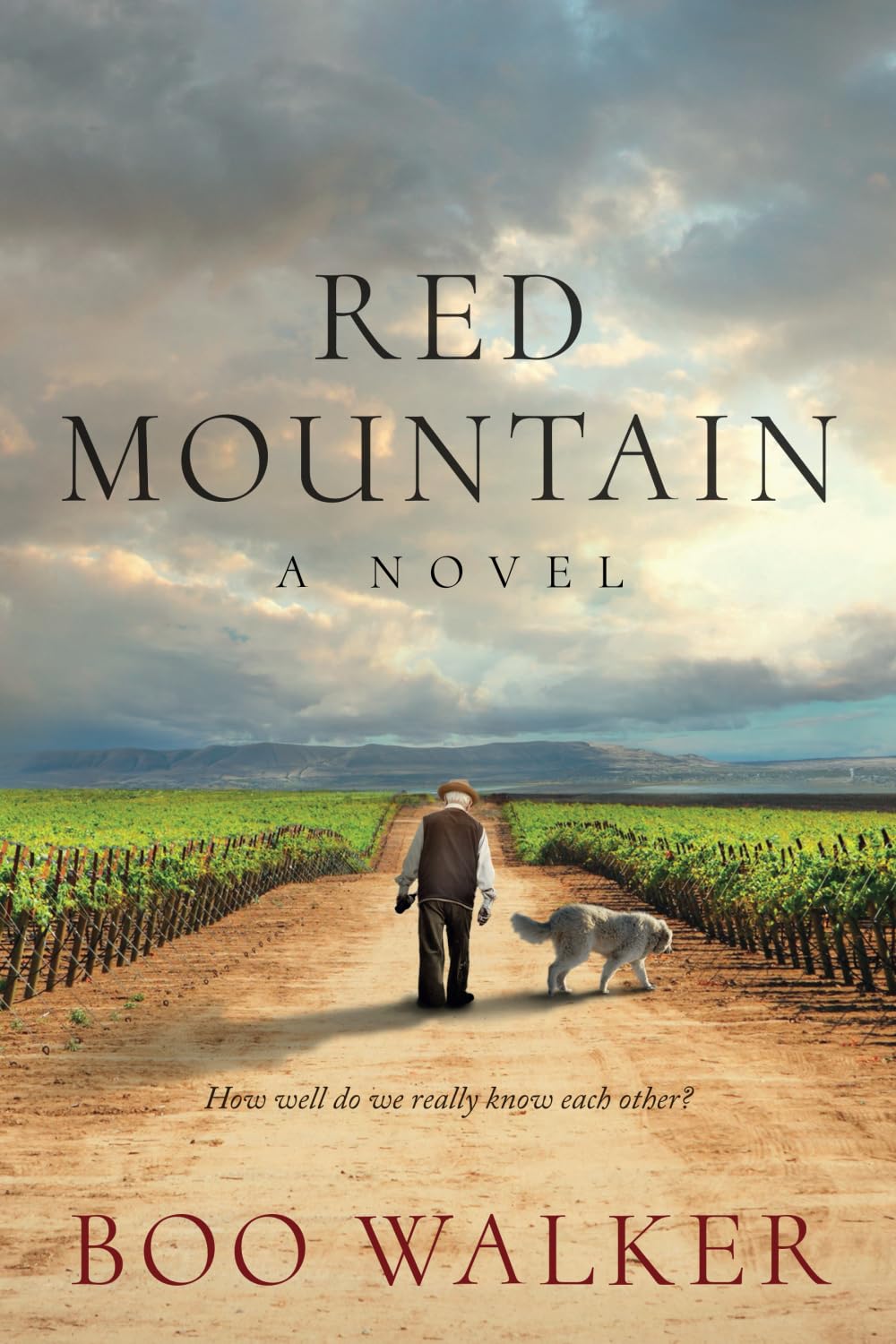 Red Mountain: A Novel (Red Mountain Chronicles) - 6559