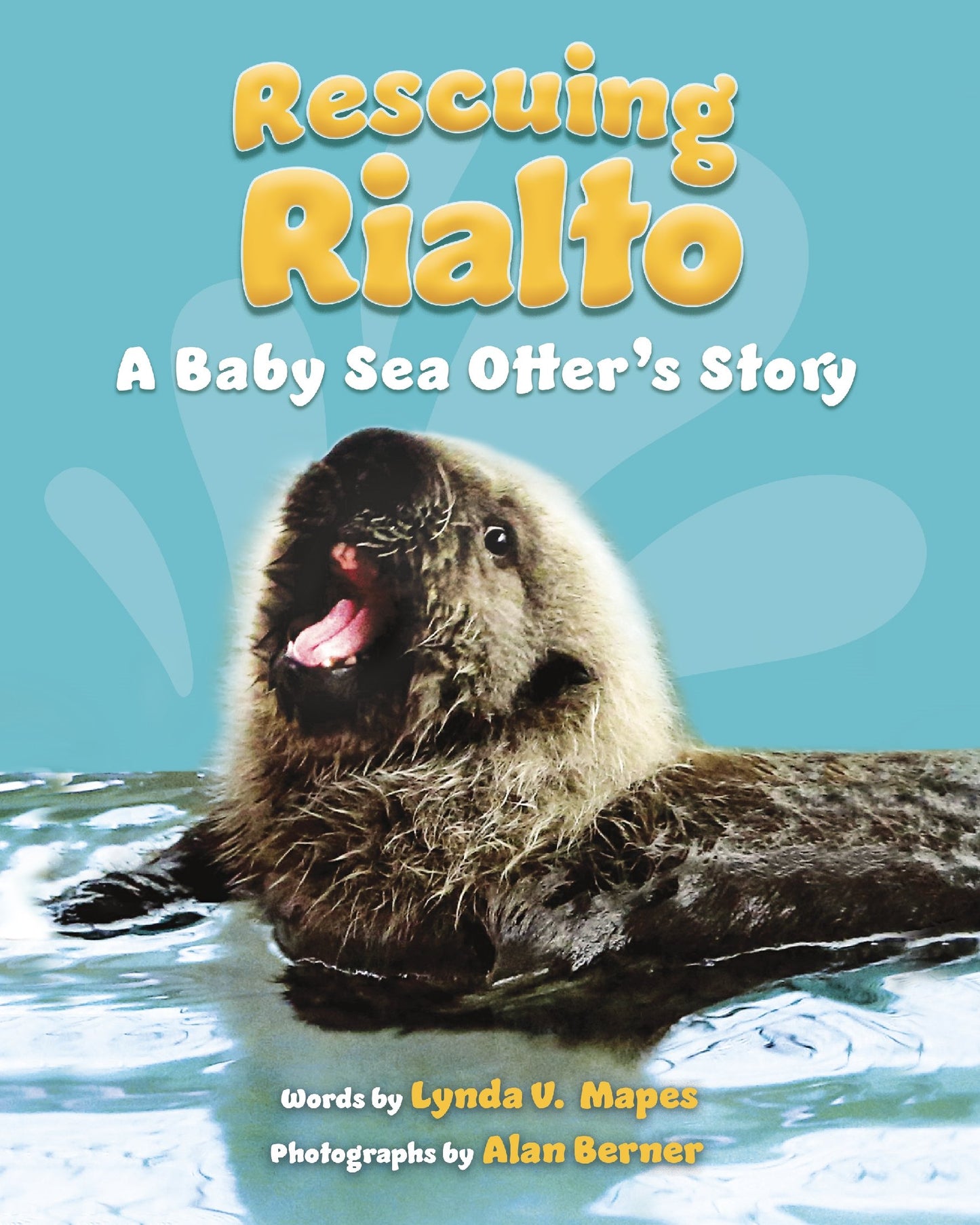 Rescuing Rialto: A Baby Sea Otter's Story - 2869