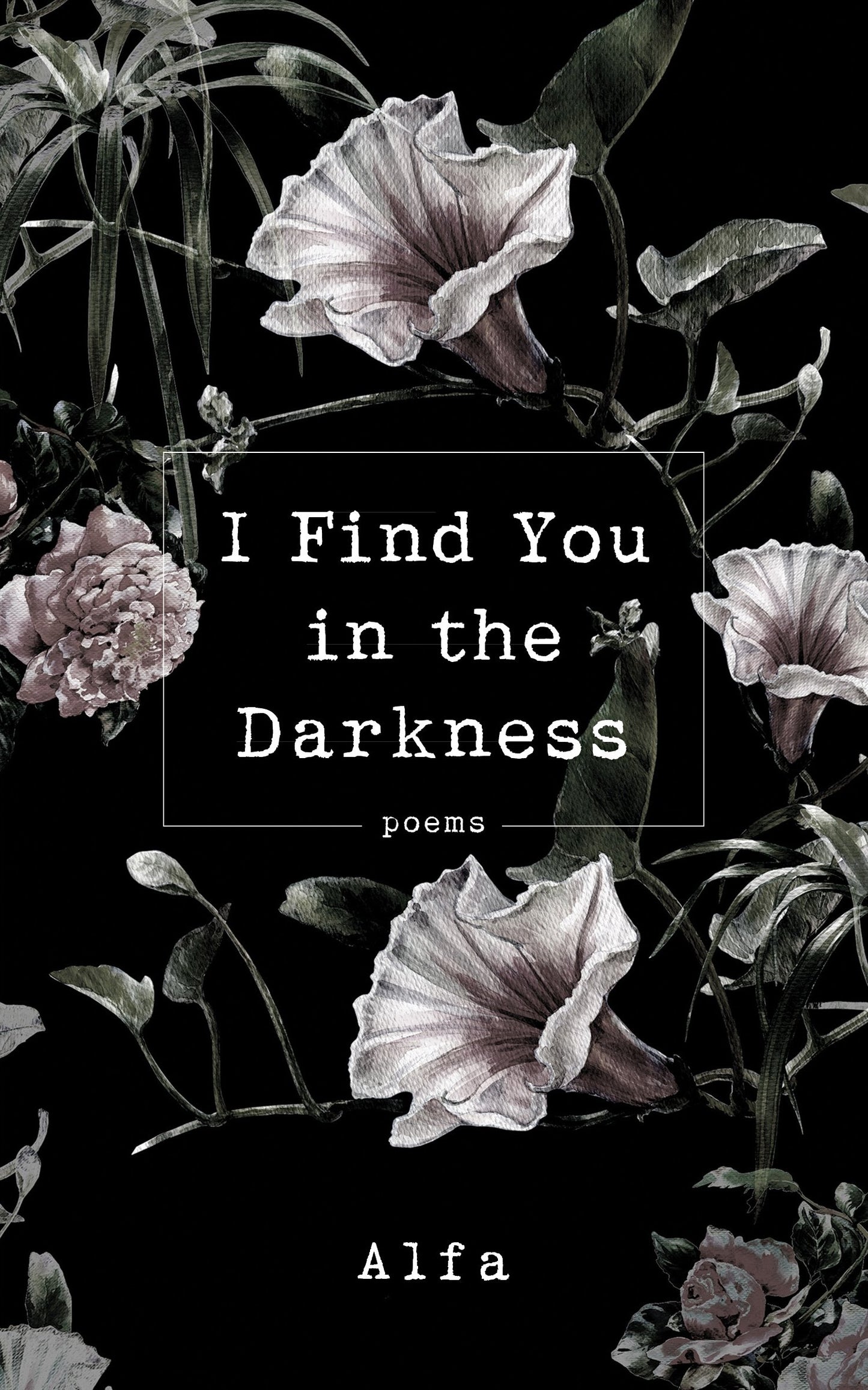 I Find You in the Darkness - 2956