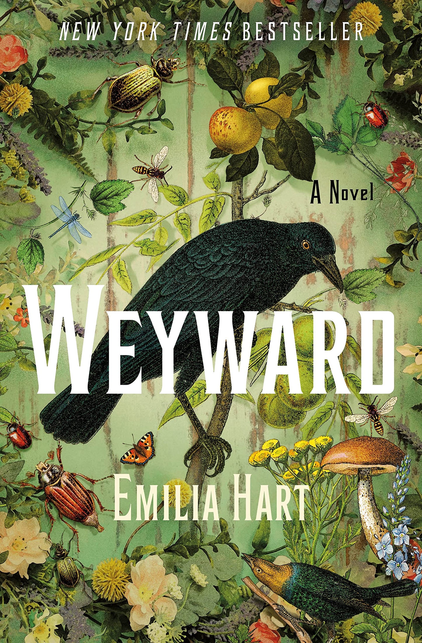 Weyward: A Novel - 2459