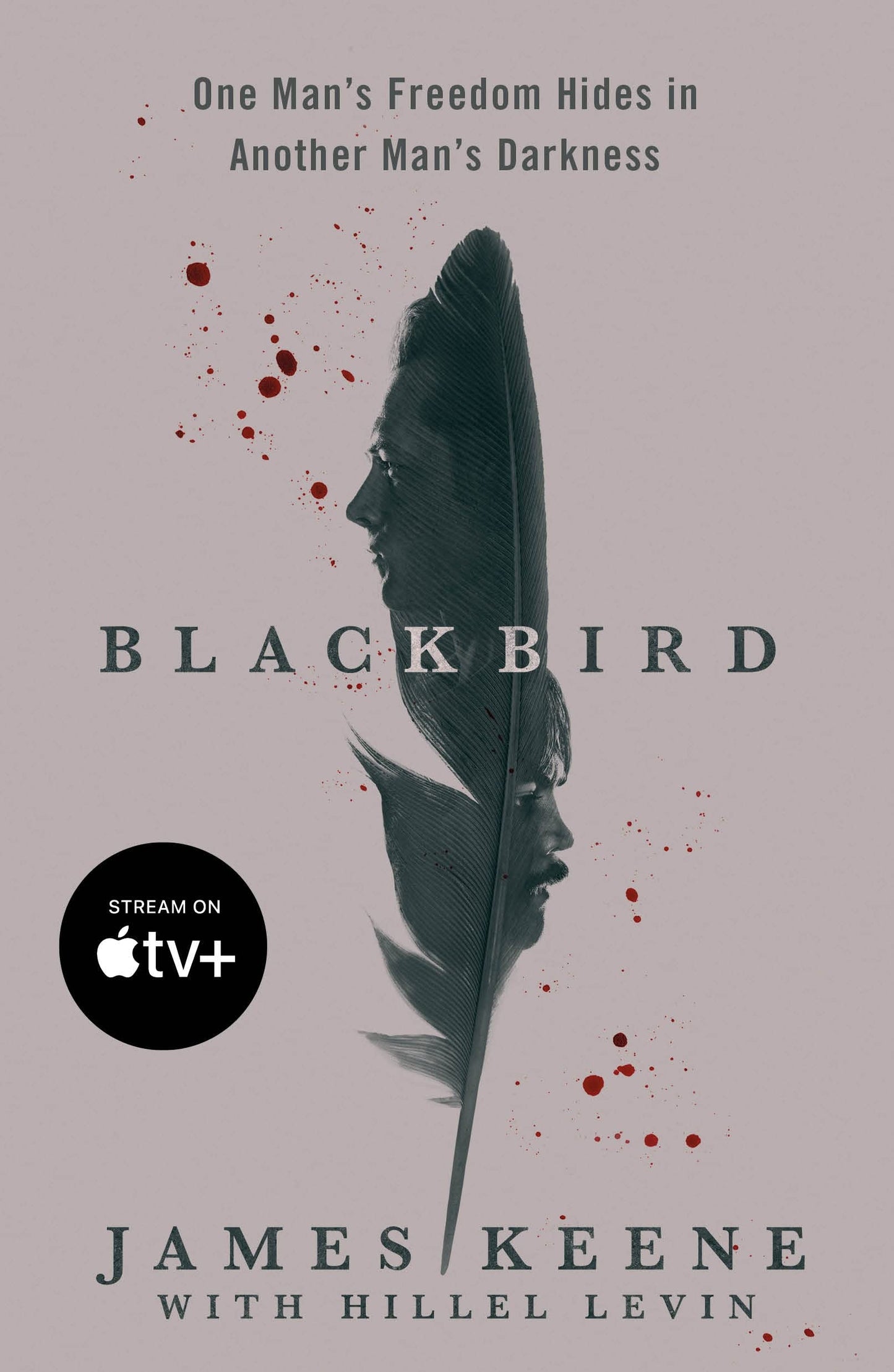 Black Bird - 985