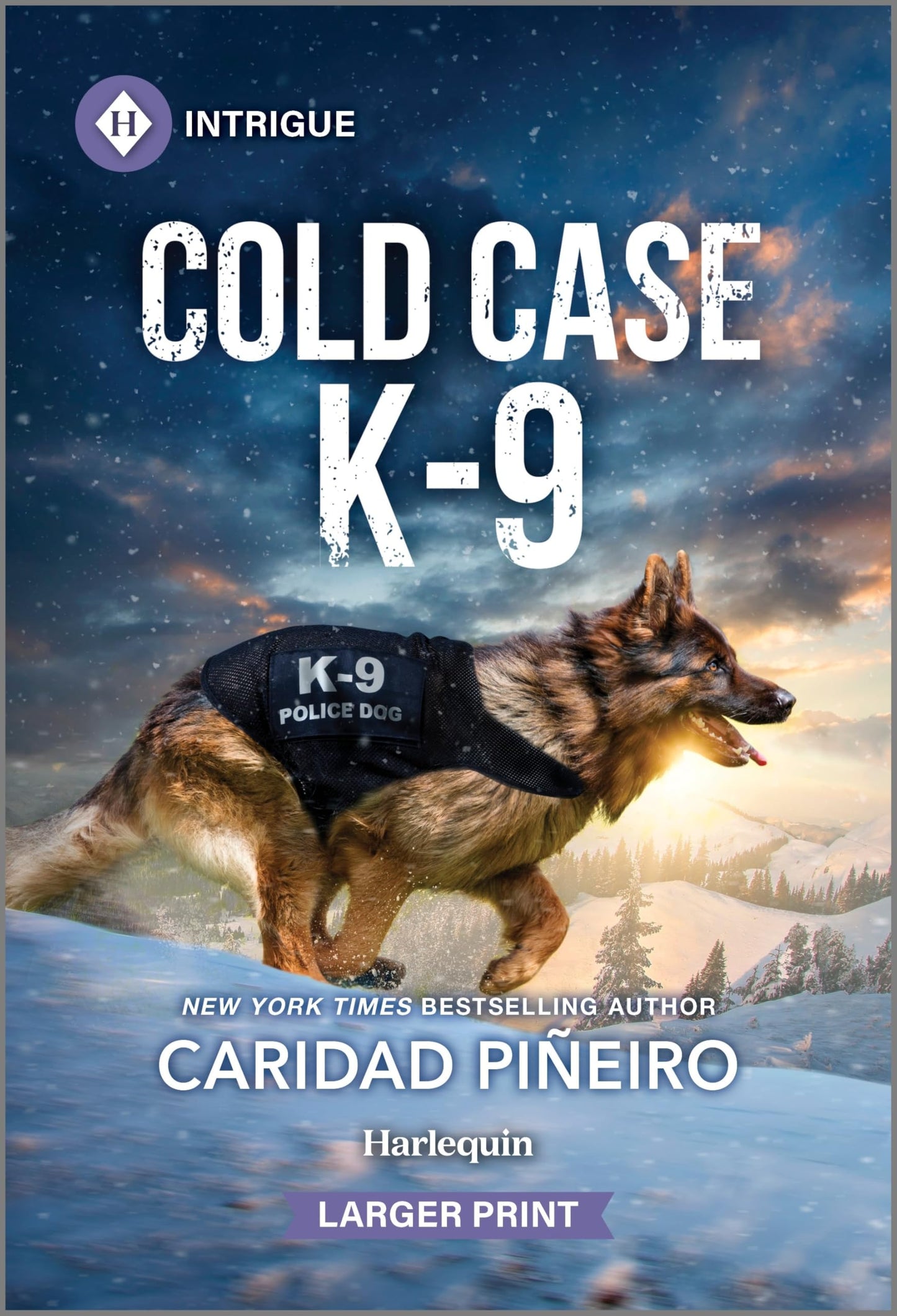 Cold Case K-9: A Protector Suspense Romance (Crooked Pass Security, 3)