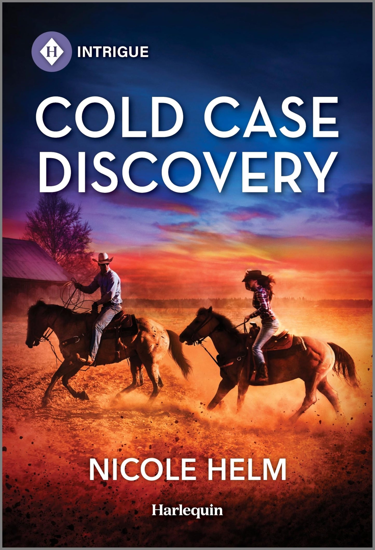 Cold Case Discovery (Hudson Sibling Solutions, 6)