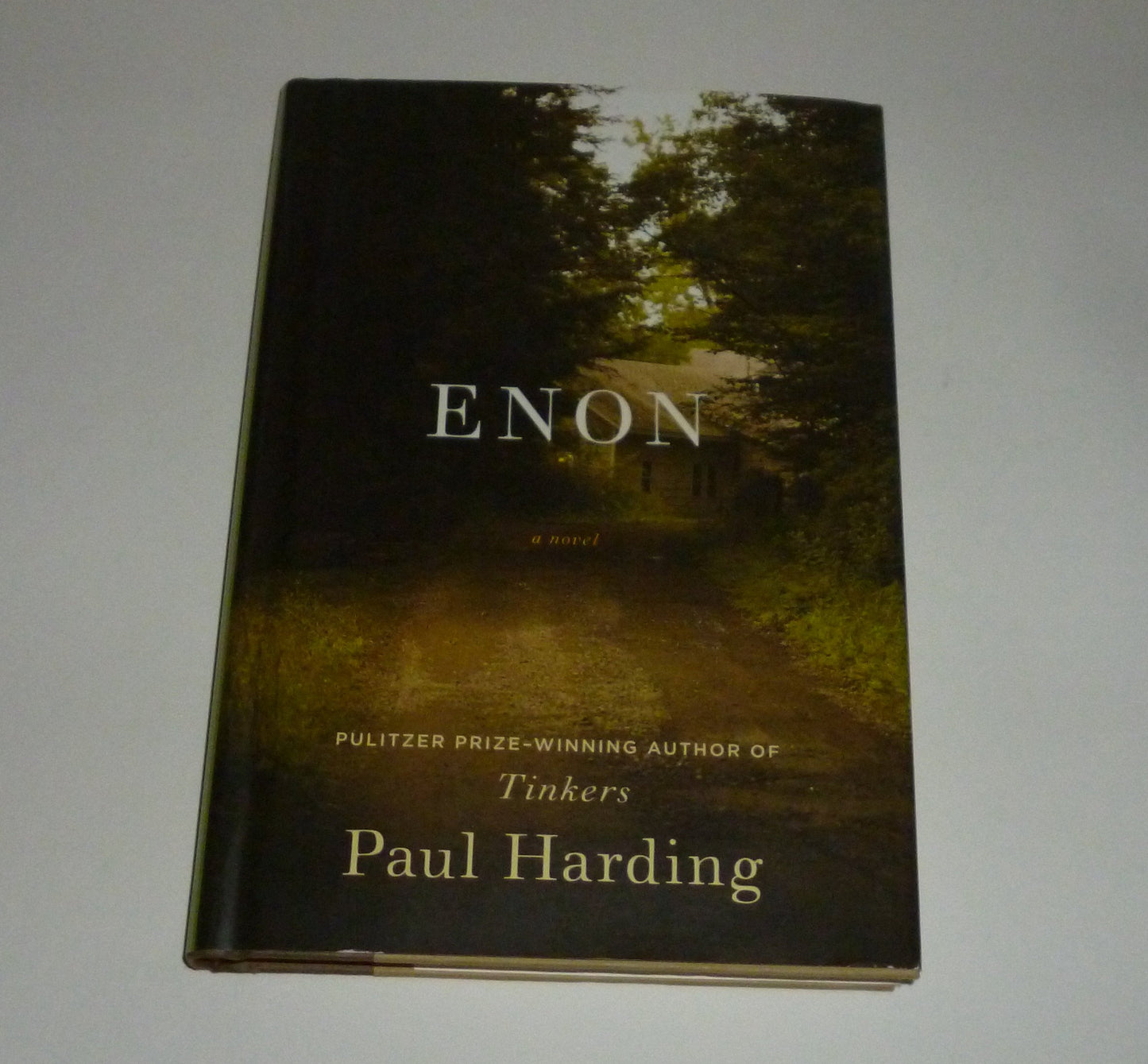 Enon: A Novel (ALA Notable Books for Adults) - 40