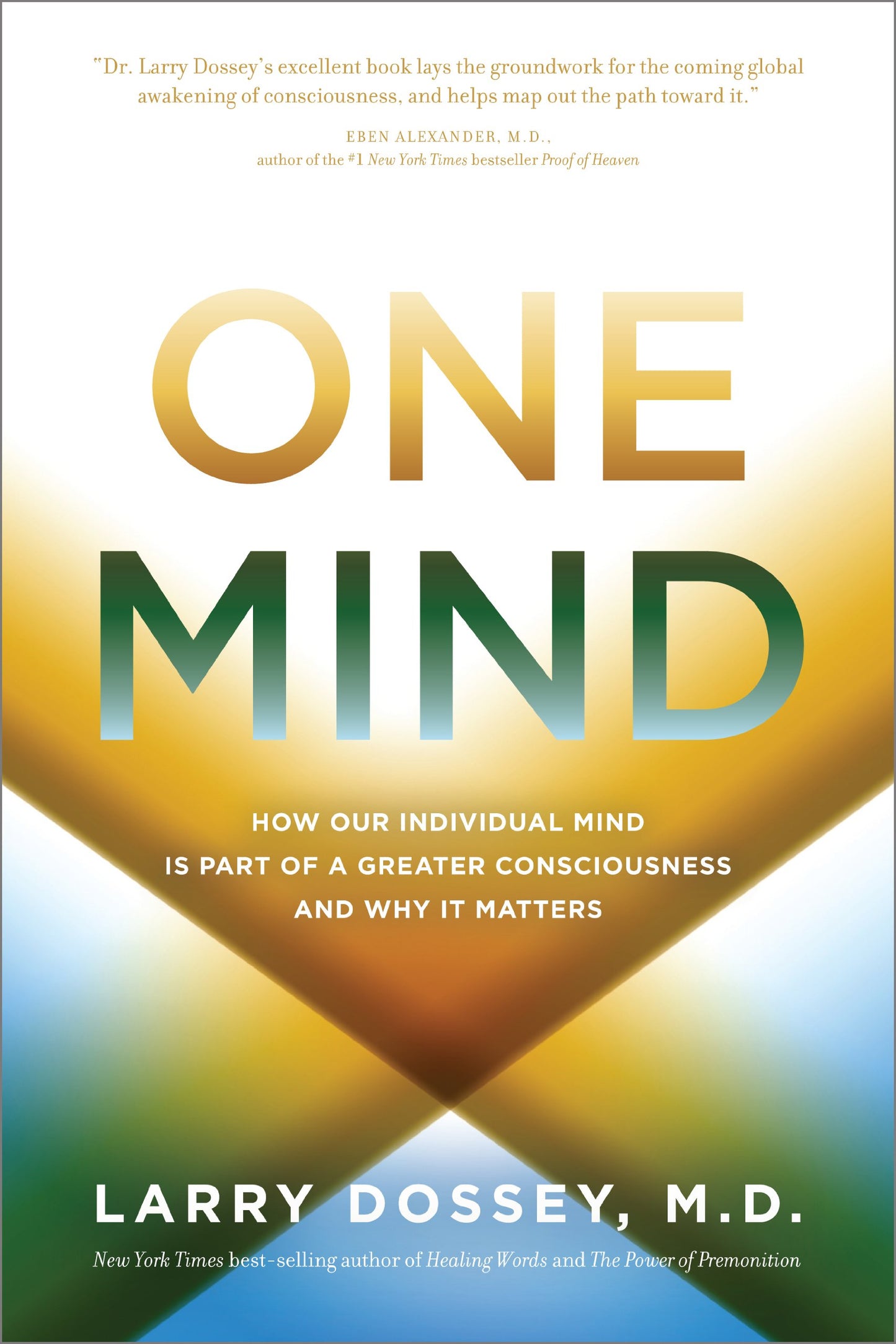 One Mind: How Our Individual Mind Is Part of a Greater Consciousness and Why It Matters - 8041