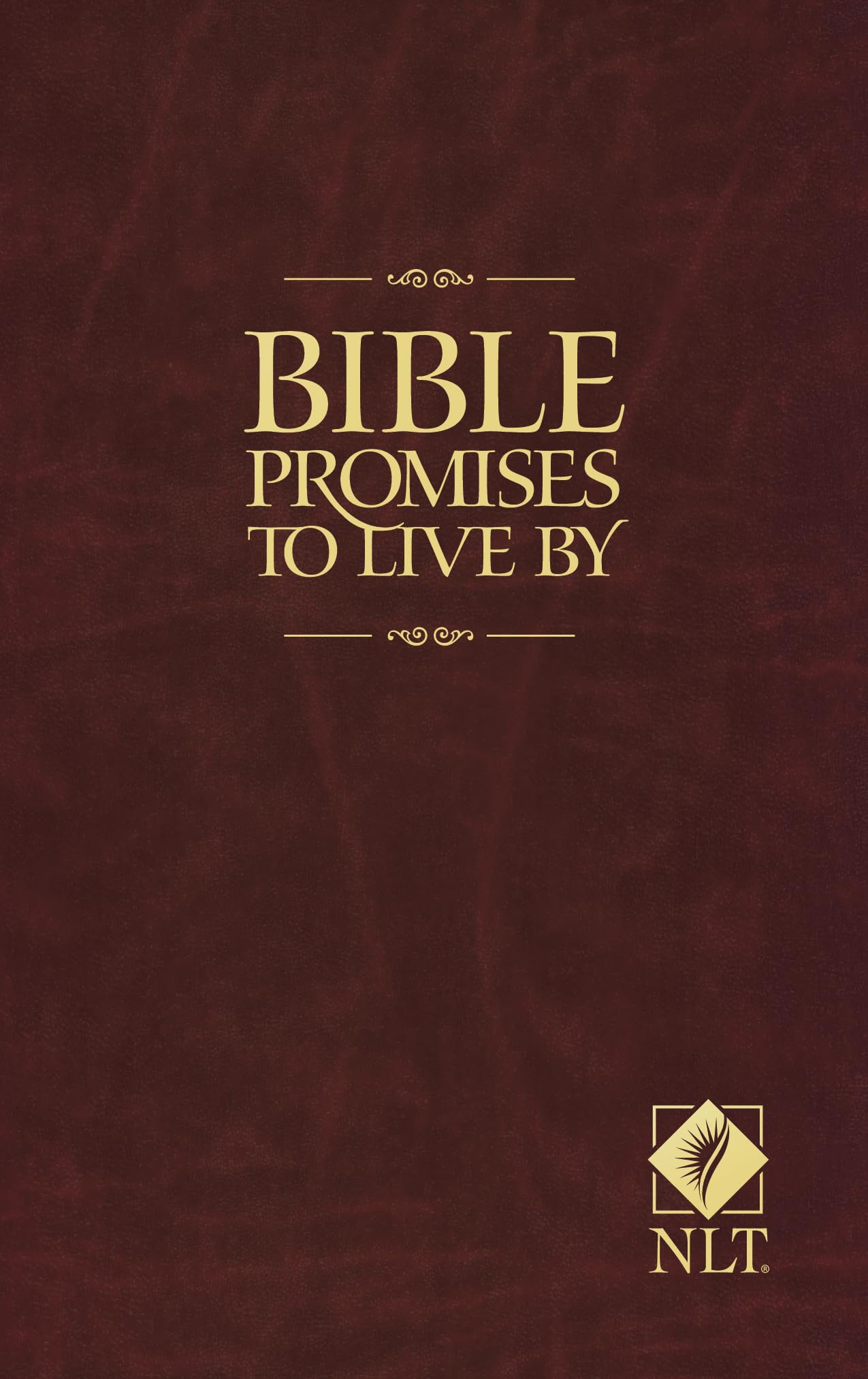 Bible Promises to Live By - 1435