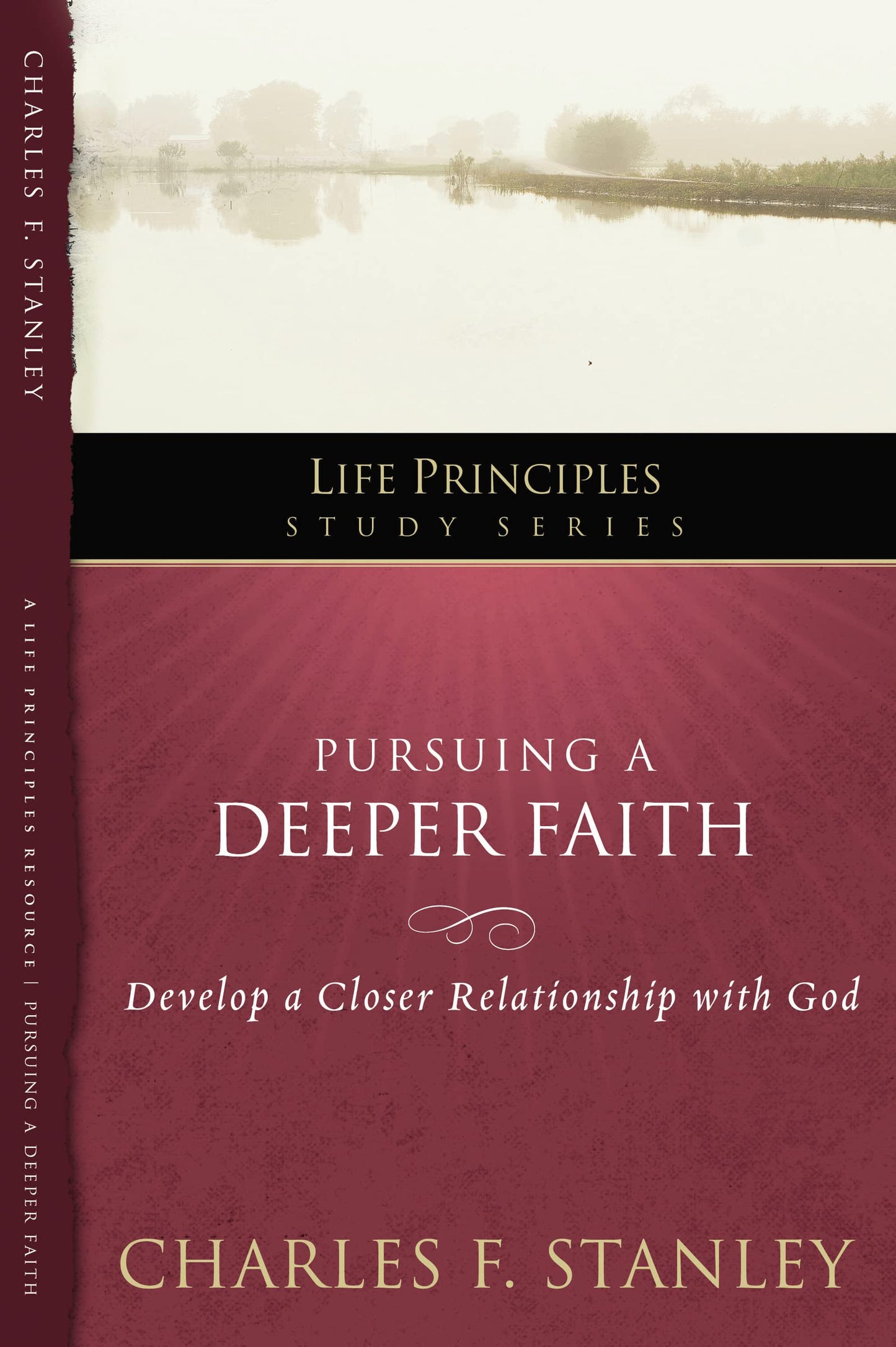 Pursuing a Deeper Faith: Develop a Closer Relationship with God (19) (Life Principles Study Series)