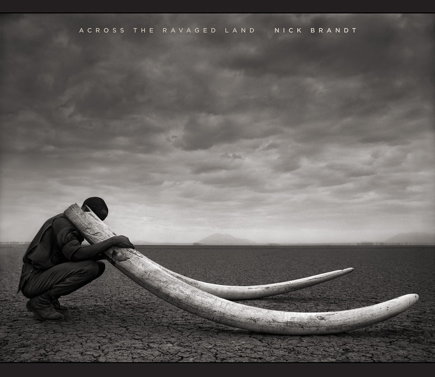 Across the Ravaged Land - 4394