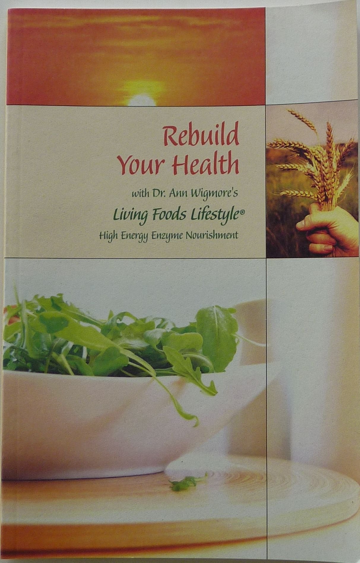 Rebuild Your Health: Dr. Ann Wigmore's Living Foods Lifestyle - 913