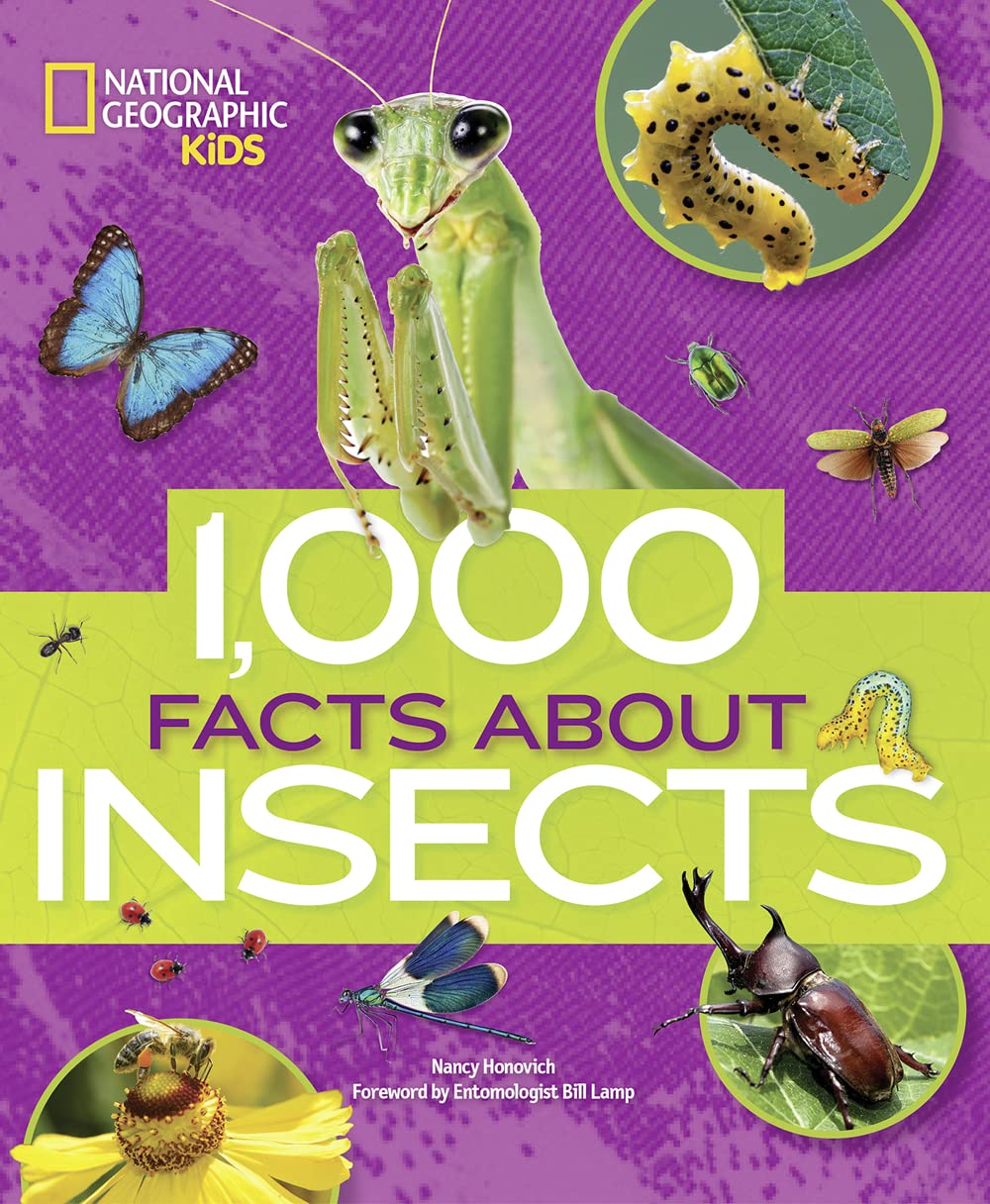 1,000 Facts About Insects - 8515