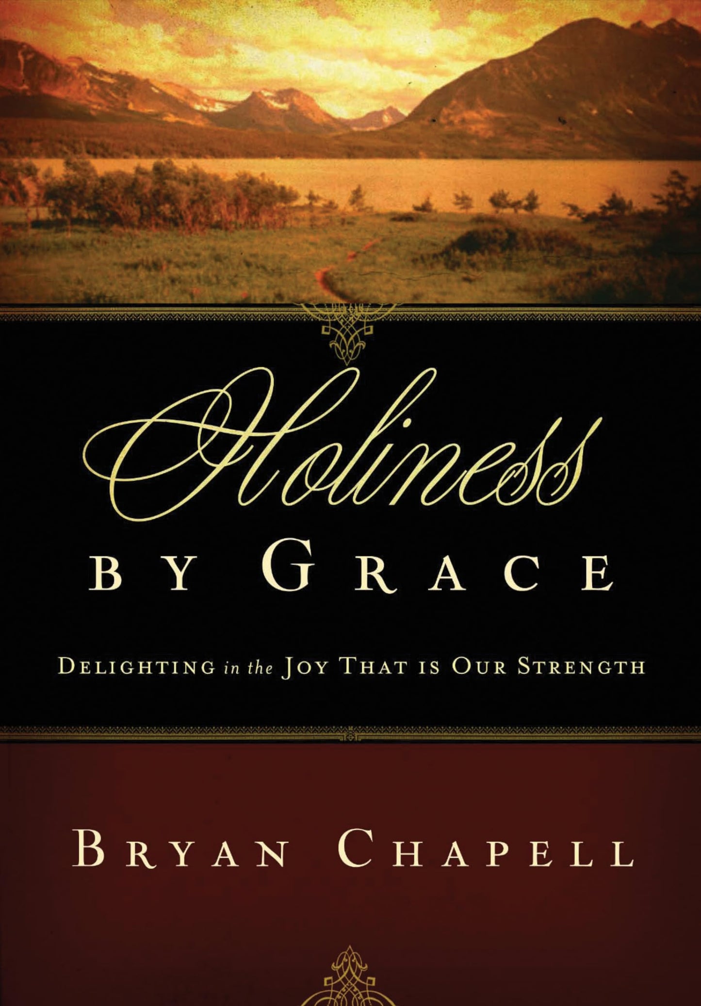 Holiness by Grace: Delighting in the Joy That Is Our Strength (Redesign) - 6185