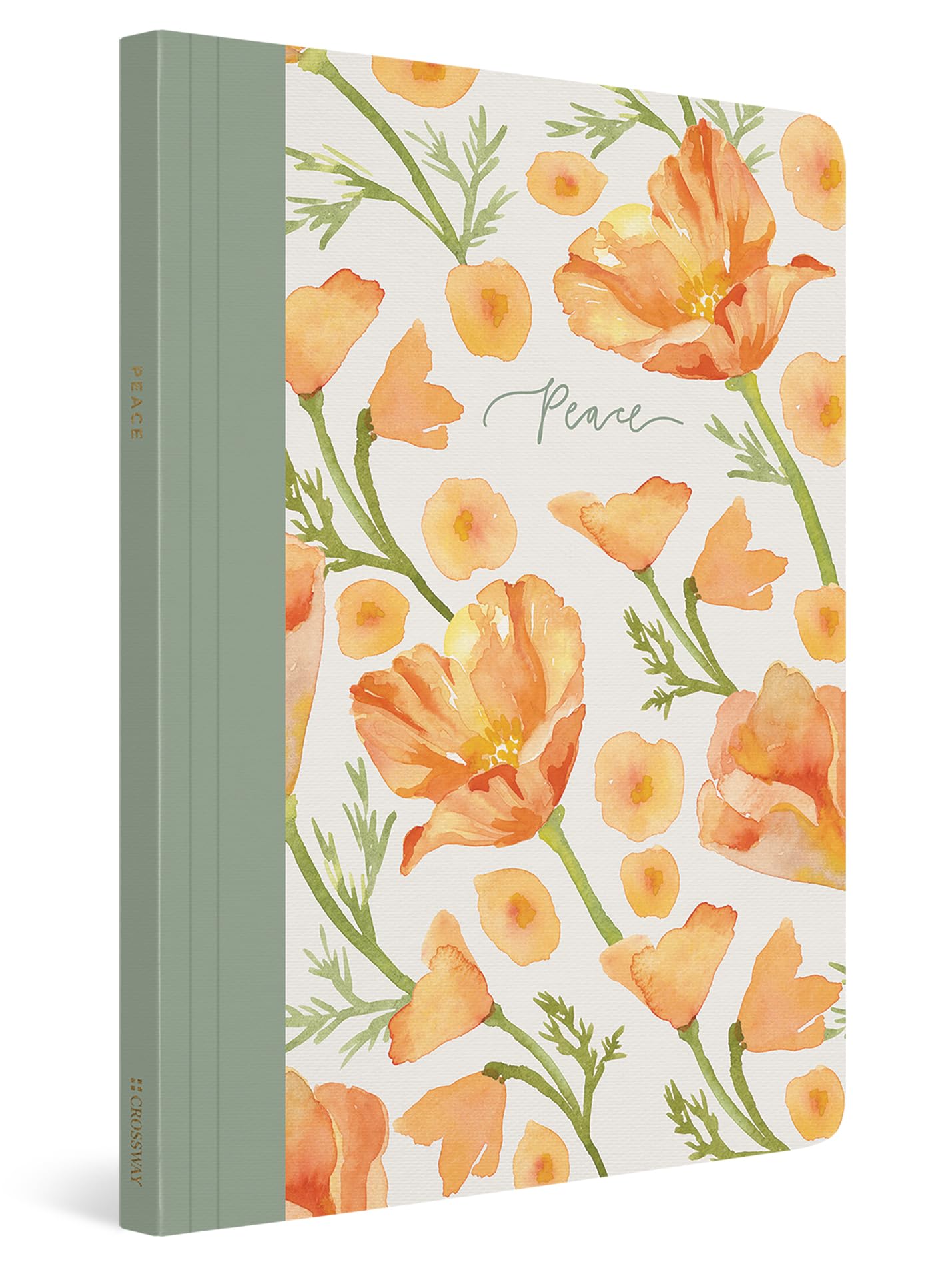 ESV Prayer Journal: 30 Days on Peace (Paperback) - 7504