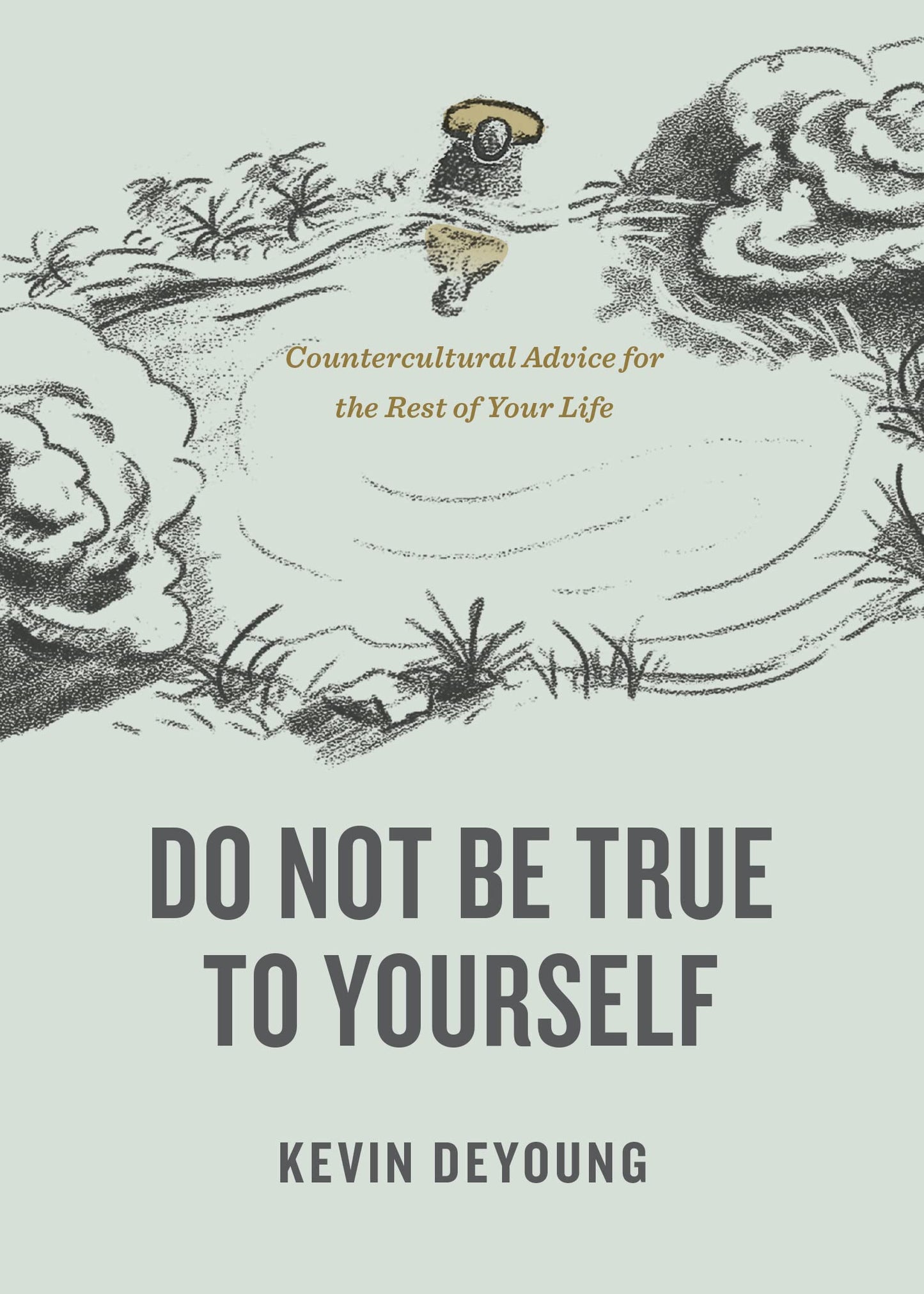 Do Not Be True to Yourself: Countercultural Advice for the Rest of Your Life - 396