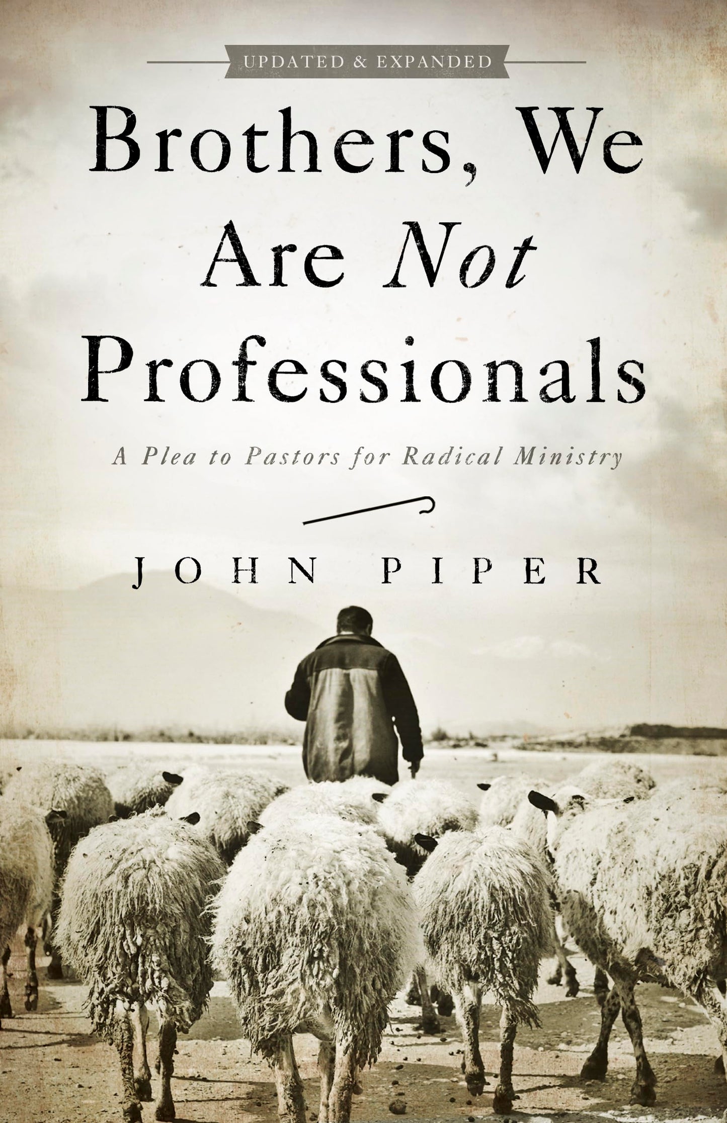 Brothers, We Are Not Professionals: A Plea to Pastors for Radical Ministry, Updated and Expanded Edition - 2752