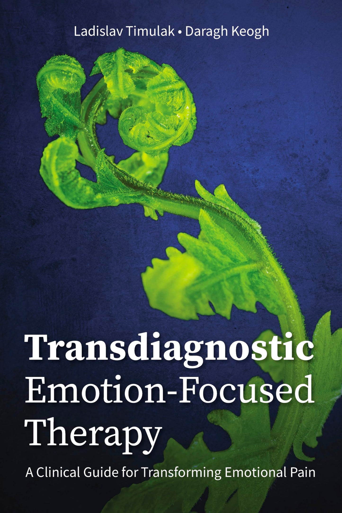 Transdiagnostic Emotion-Focused Therapy: A Clinical Guide for Transforming Emotional Pain - 218