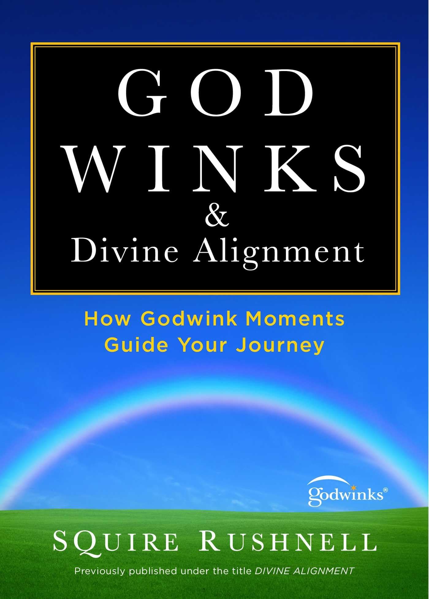 Godwinks & Divine Alignment: How Godwink Moments Guide Your Journey (4) (The Godwink Series) - 317