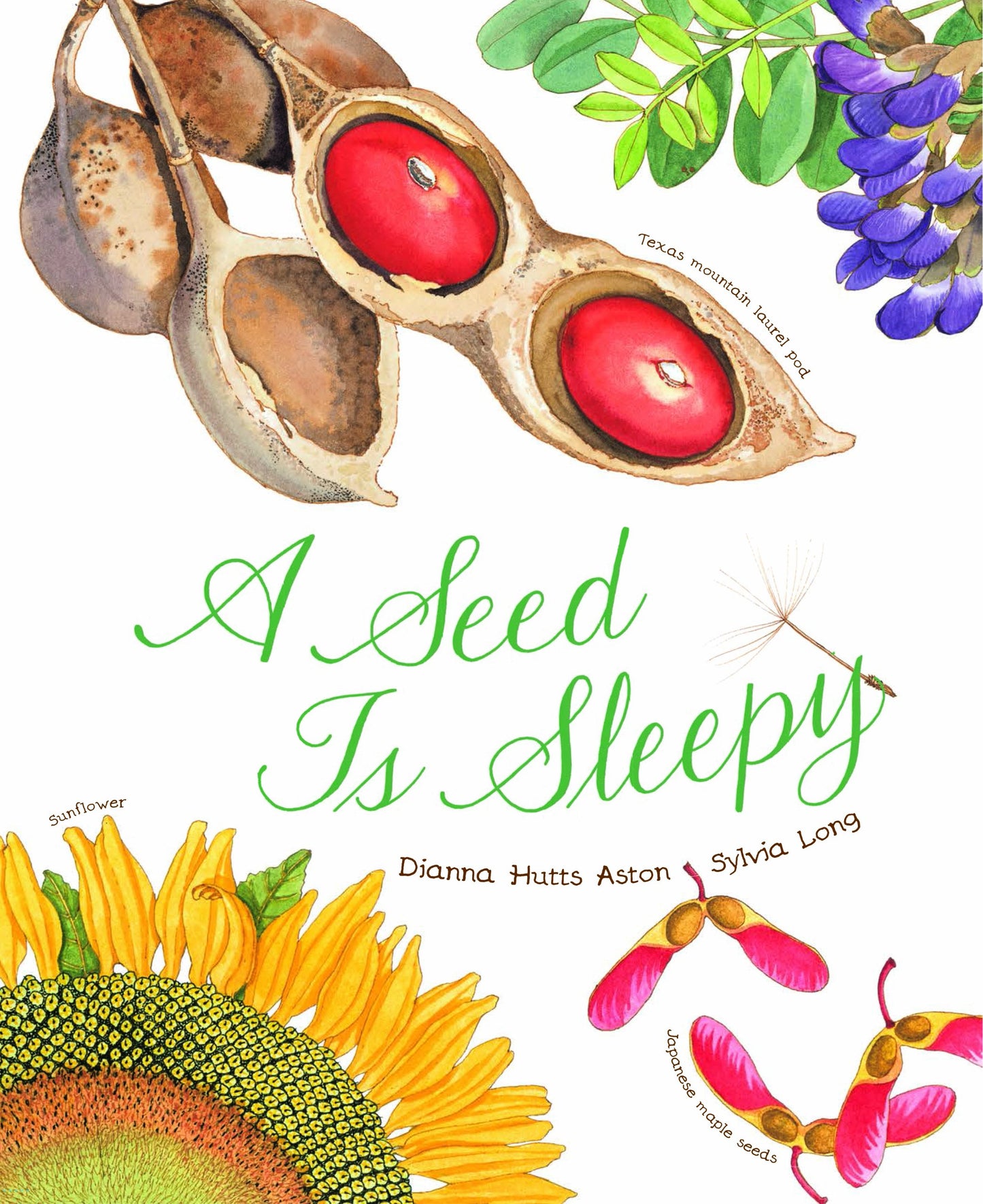A Seed Is Sleepy: (Nature Books for Kids, Environmental Science for Kids) (Sylvia Long) - 4067