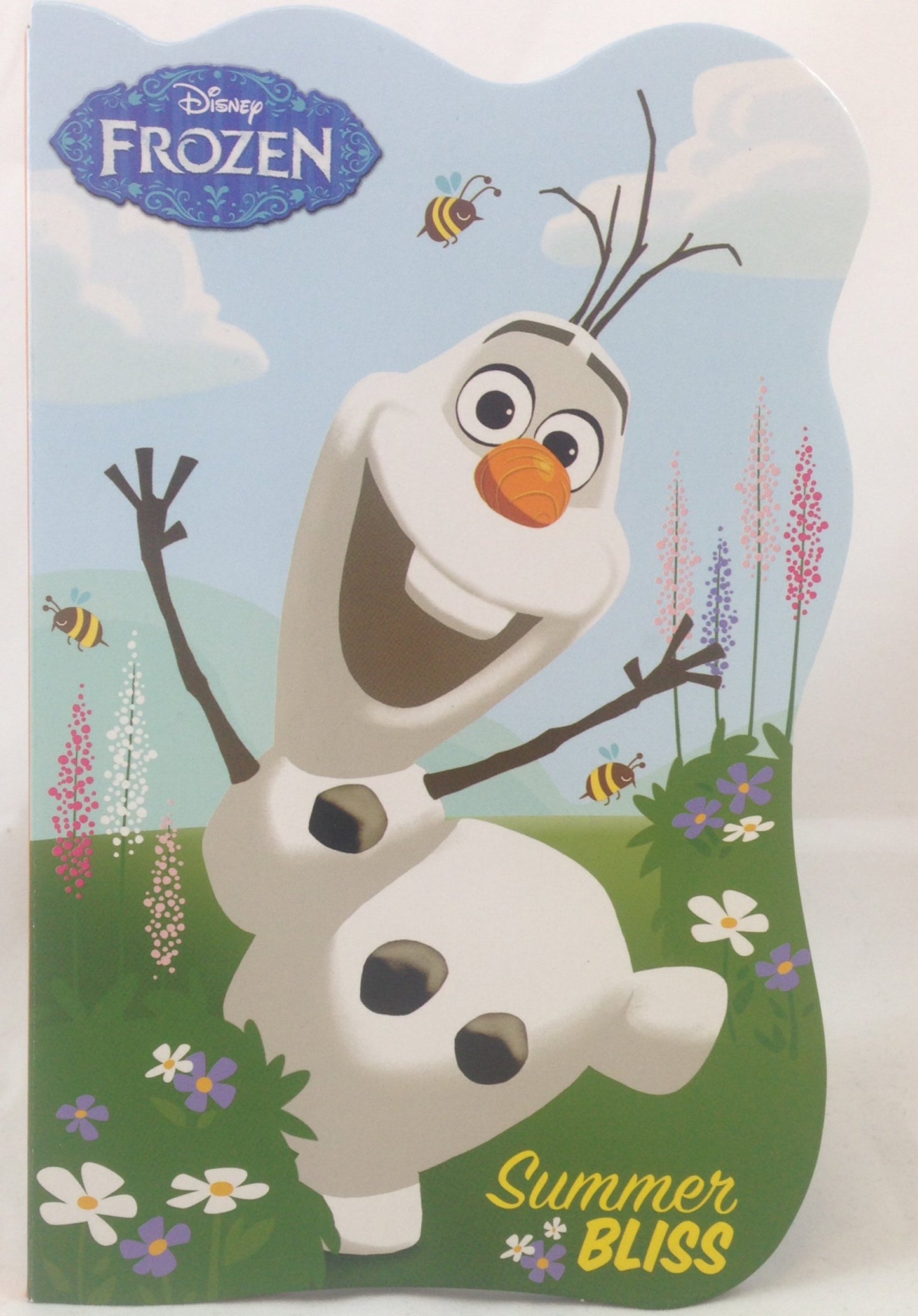 Disney Frozen Hardcover Book " Summer Bliss"