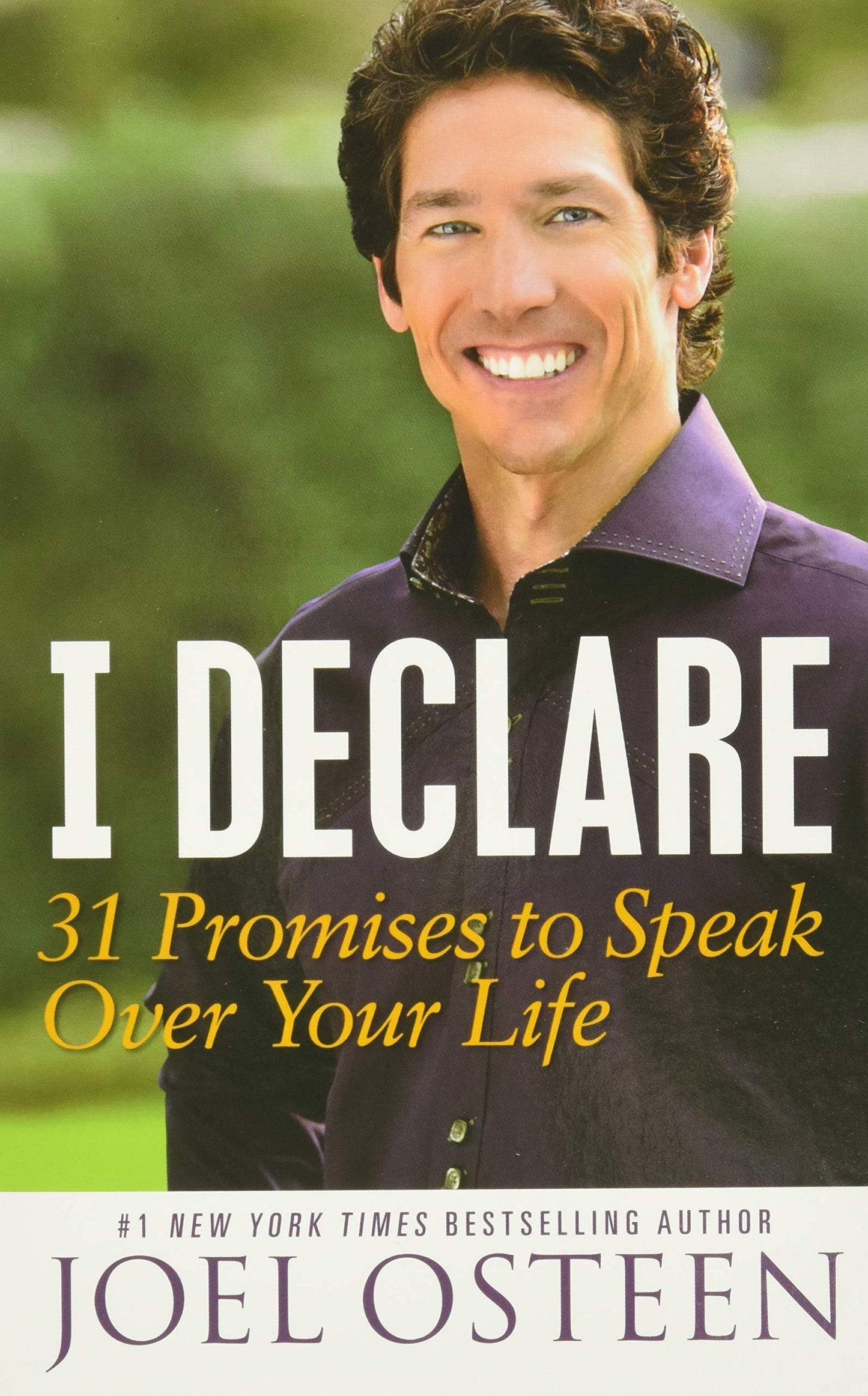 I Declare: 31 Promises to Speak Over Your Life - 8045