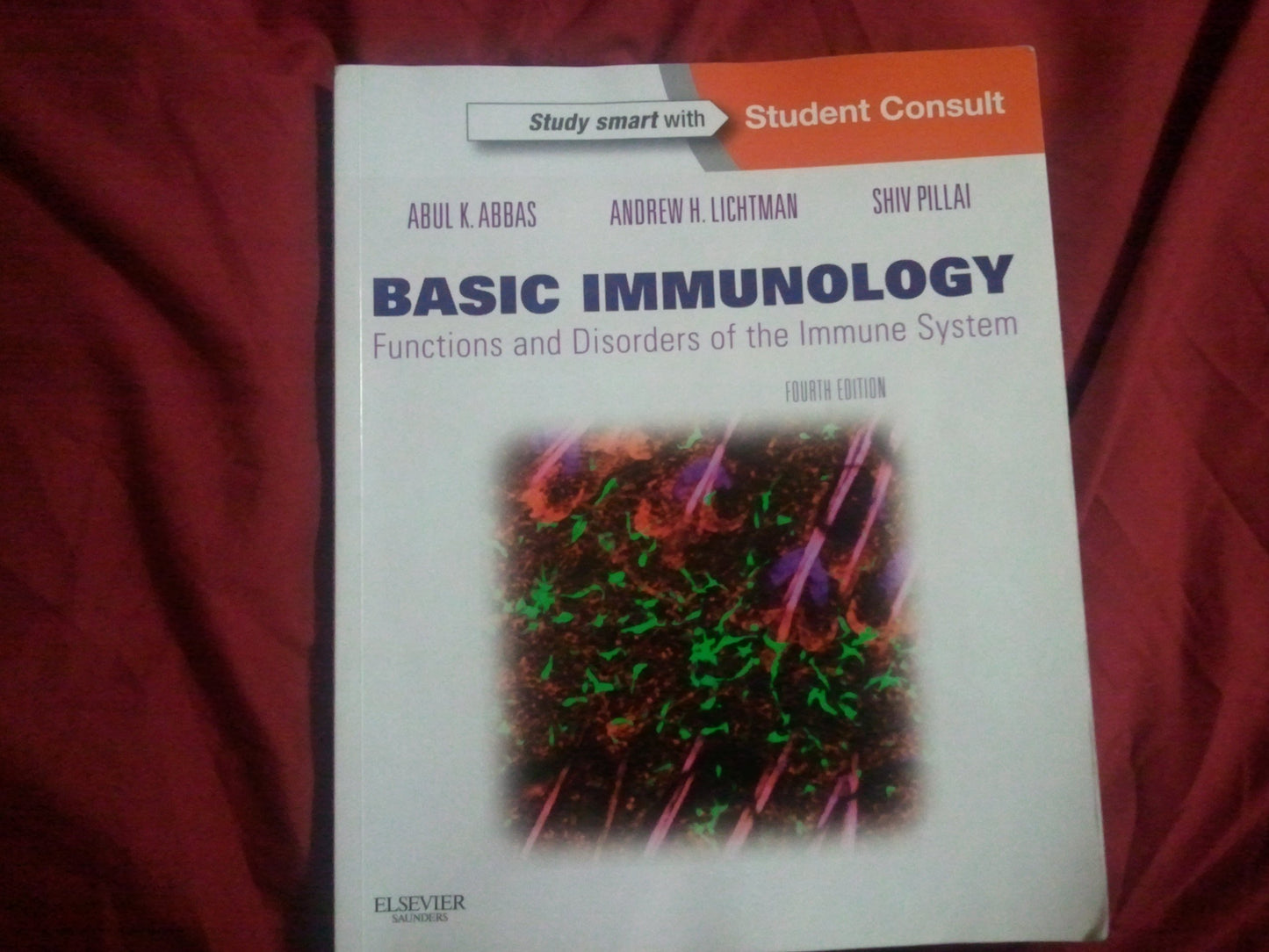 Basic Immunology: Functions and Disorders of the Immune System - 9484