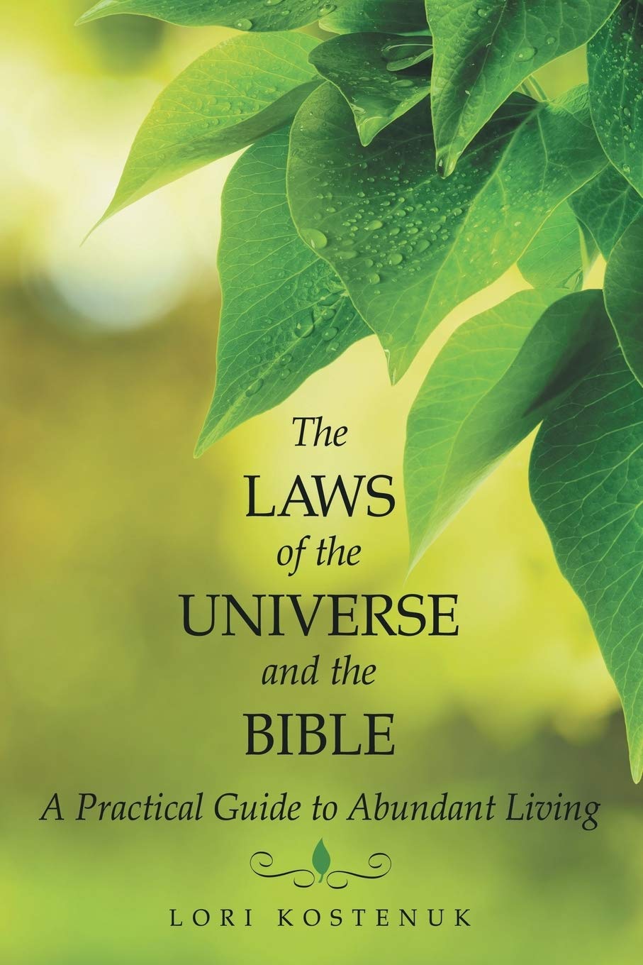 The Laws of the Universe and the Bible: A Practical Guide to Abundant Living - 9032