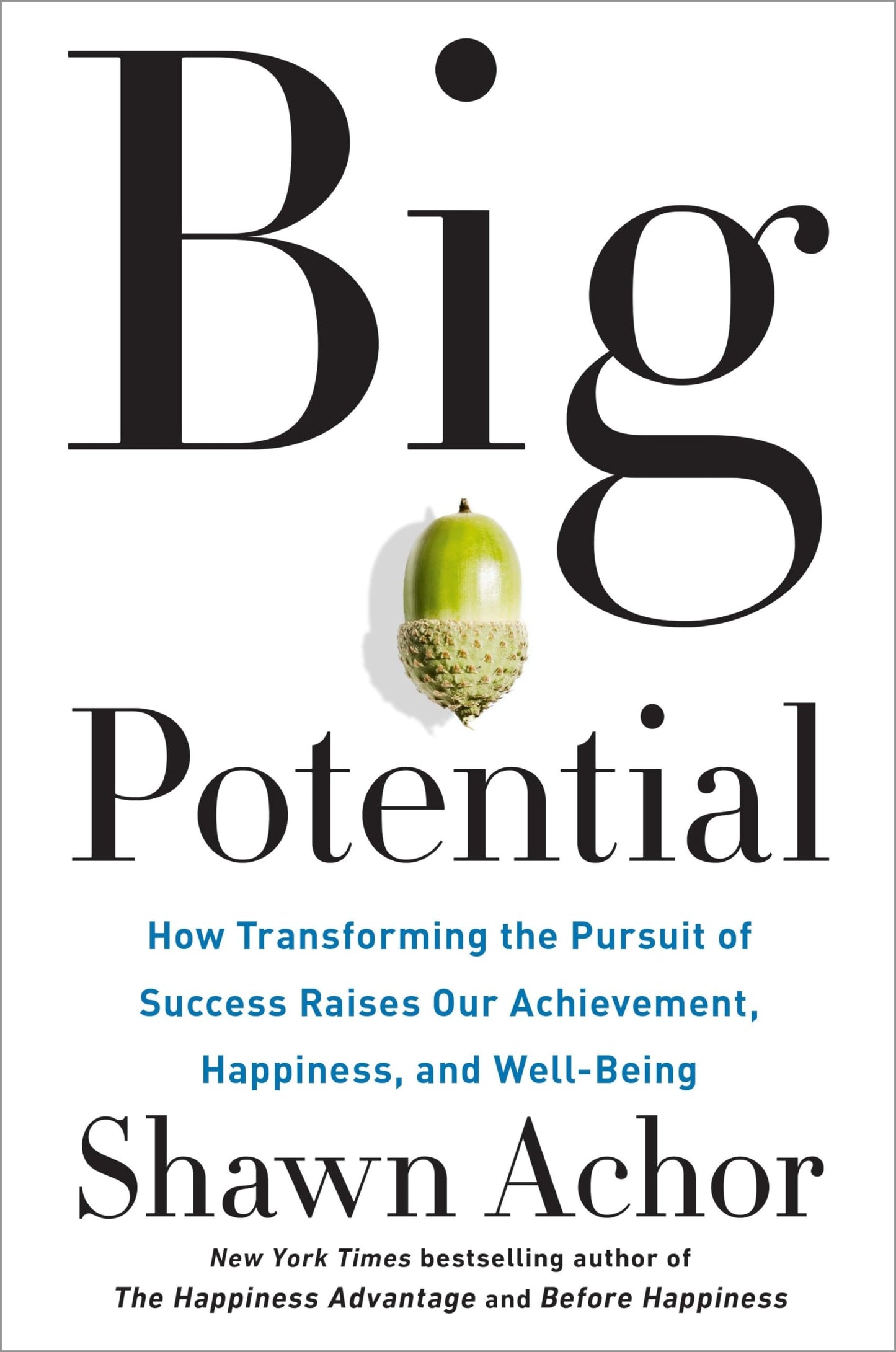 Big Potential: How Transforming the Pursuit of Success Raises Our Achievement, Happiness, and Well-Being - 6327