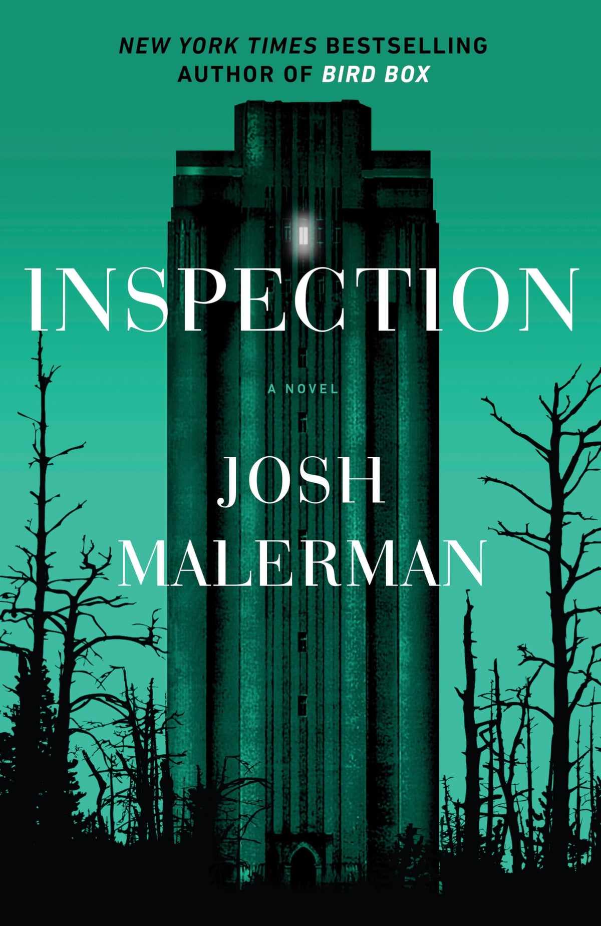 Inspection: A Novel