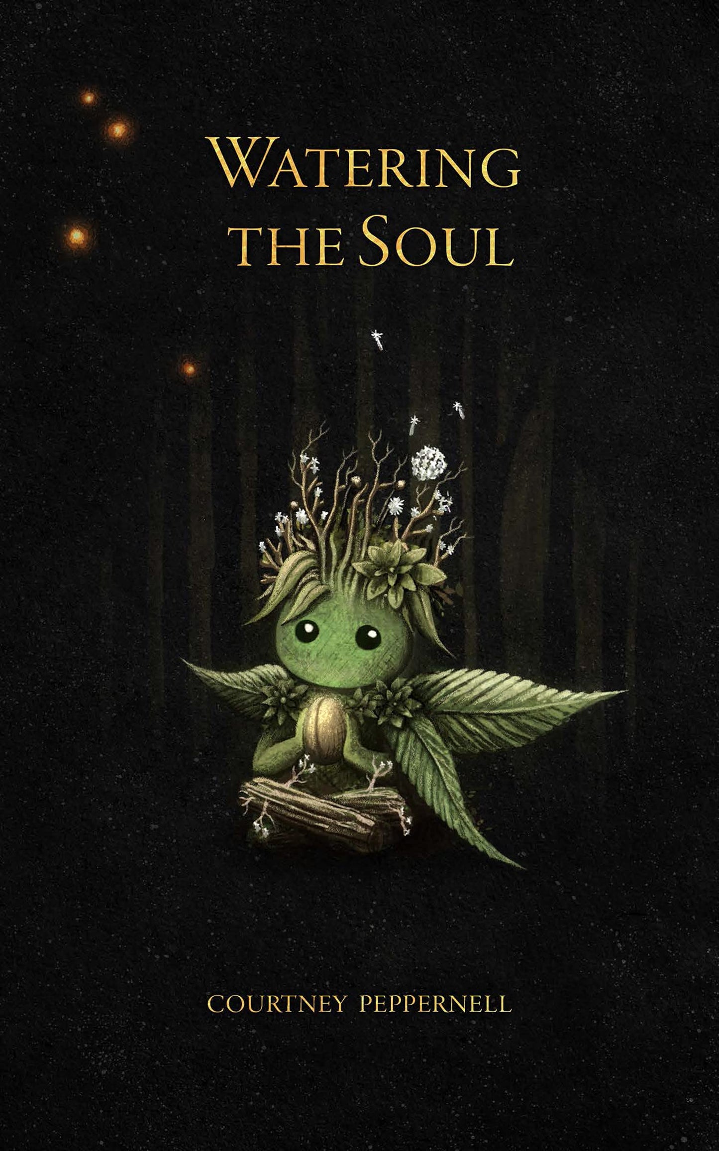Watering the Soul - 7157