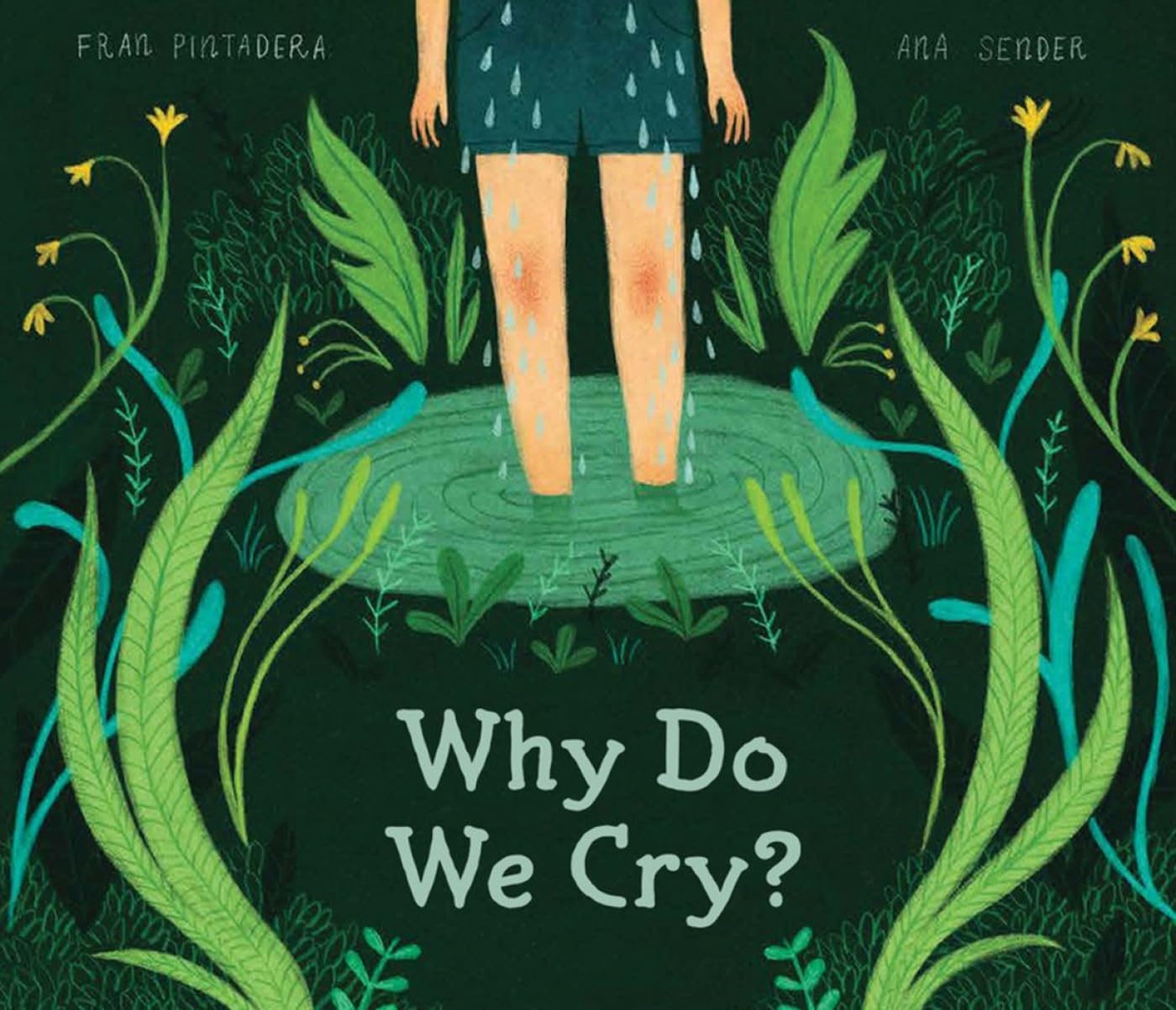 Why Do We Cry? (Wondering Why, 1)