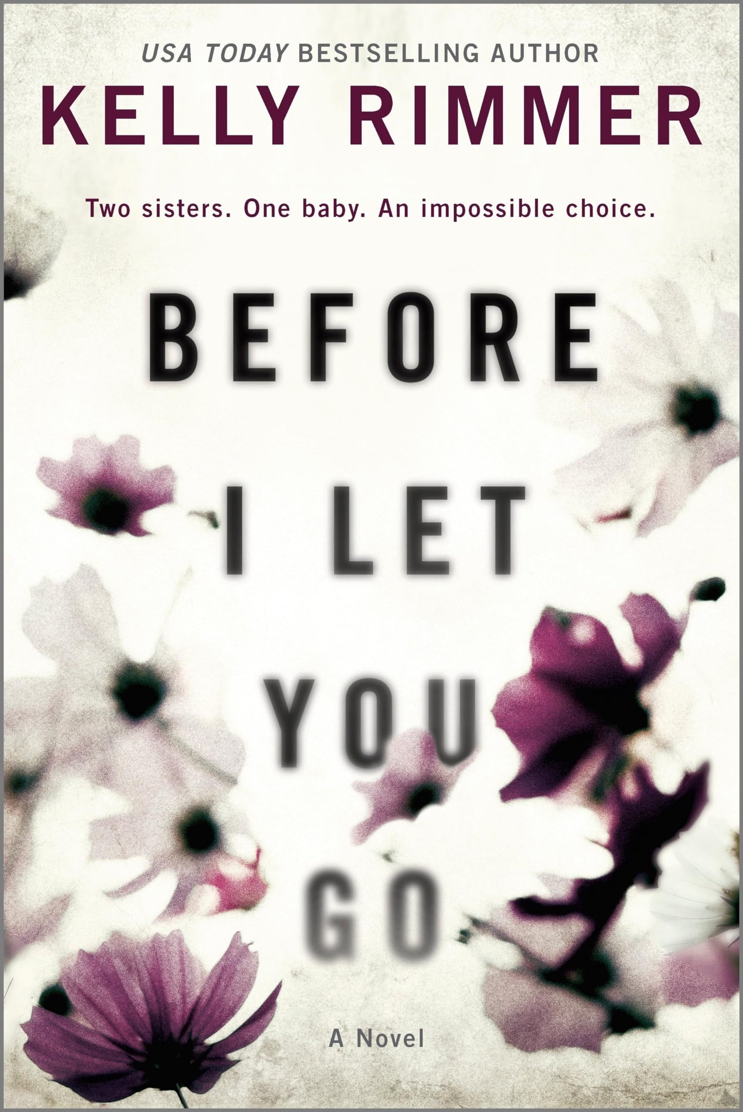 Before I Let You Go: A Novel – A Moving Contemporary Drama About Family Secrets and Grief