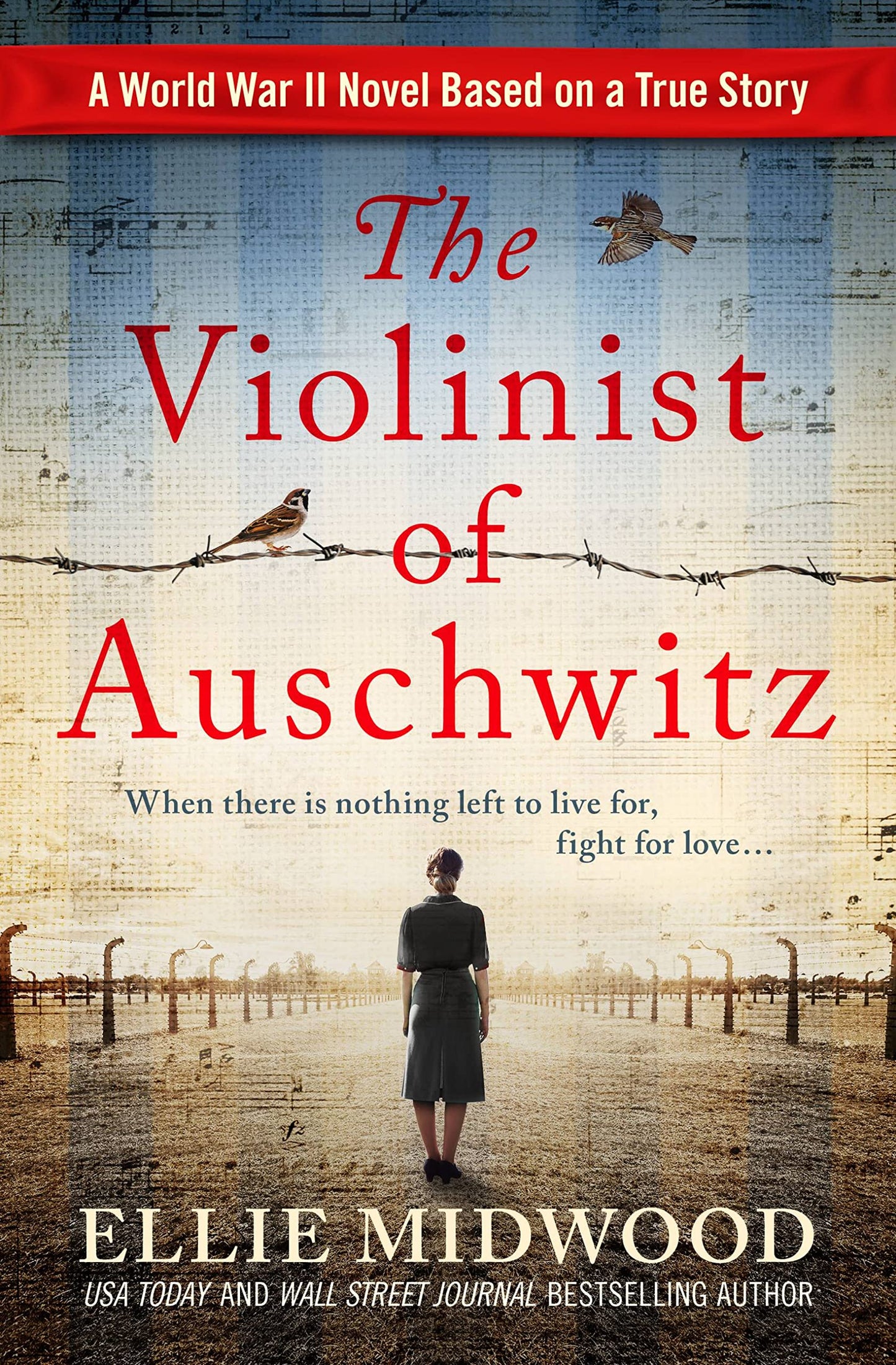 The Violinist of Auschwitz - 243