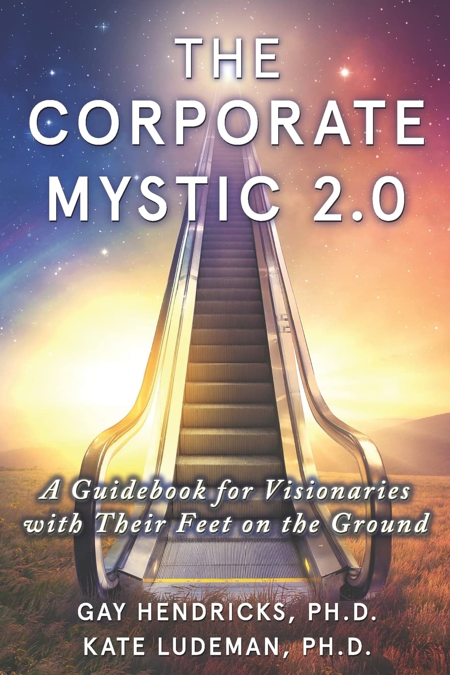 The Corporate Mystic 2.0: A Guidebook For Visionaries With Their Feet On The Ground - 3675