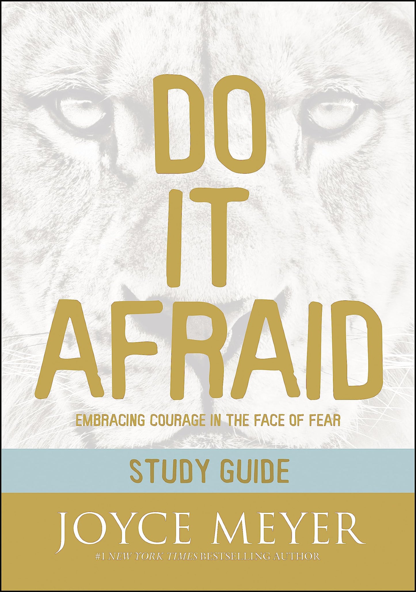 Do It Afraid Study Guide: Embracing Courage in the Face of Fear - 4959