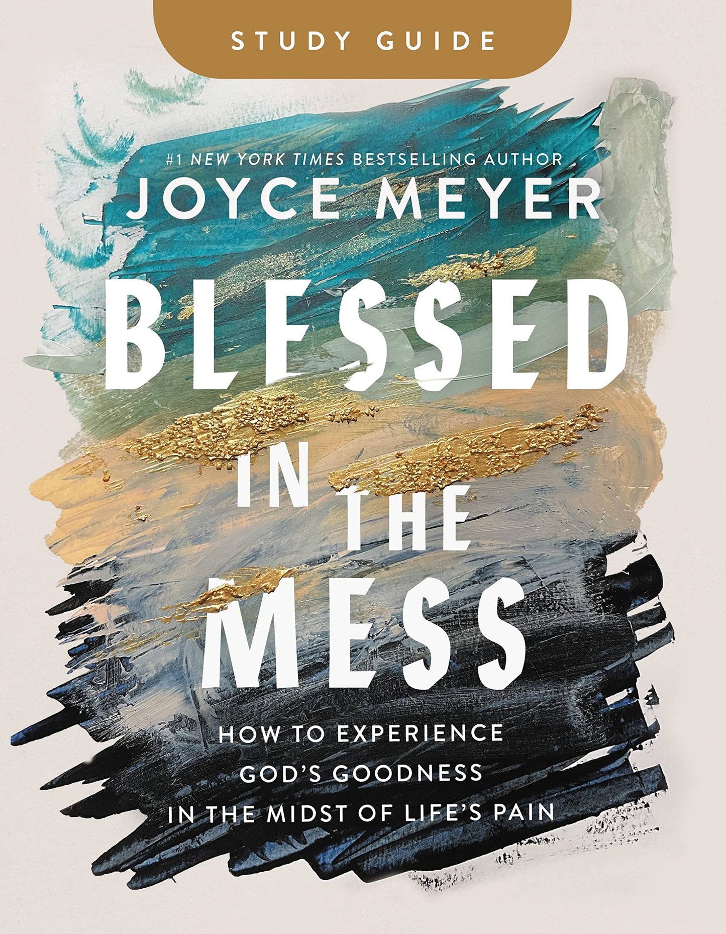 Blessed in the Mess Study Guide: How to Experience God's Goodness in the Midst of Life's Pain - 9744