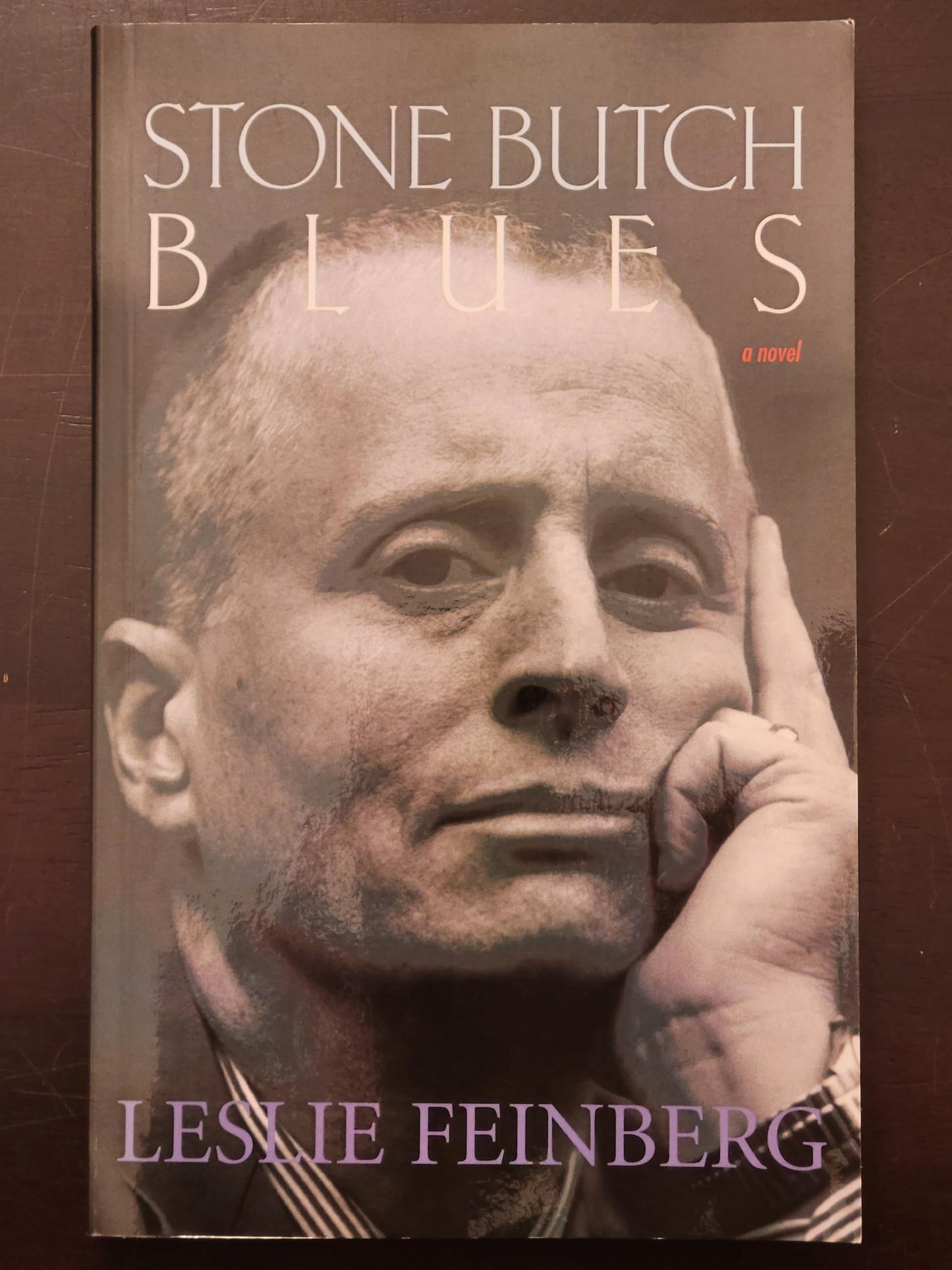 Stone Butch Blues