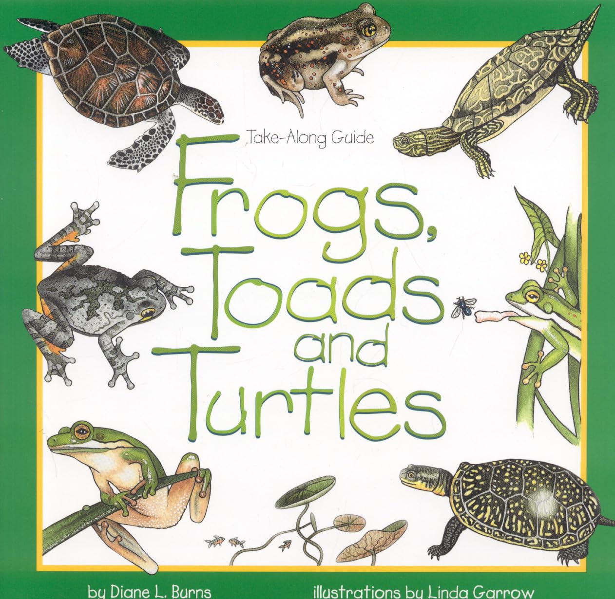 Frogs, Toads & Turtles (Take Along Guides)