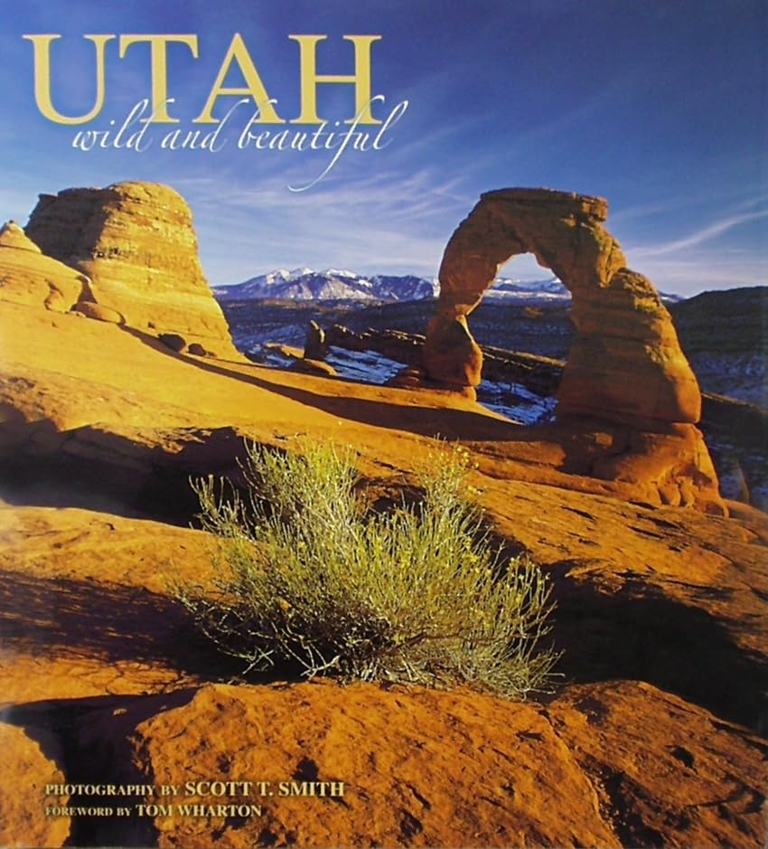 Utah Wild and Beautiful - 6654