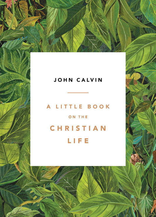 A Little Book on the Christian Life, Leaves - 3372