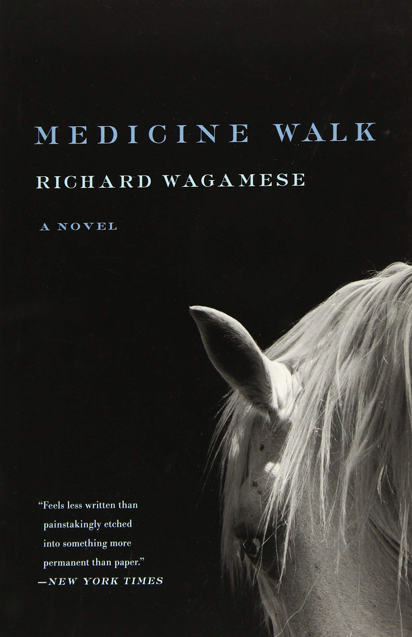 Medicine Walk - 8563