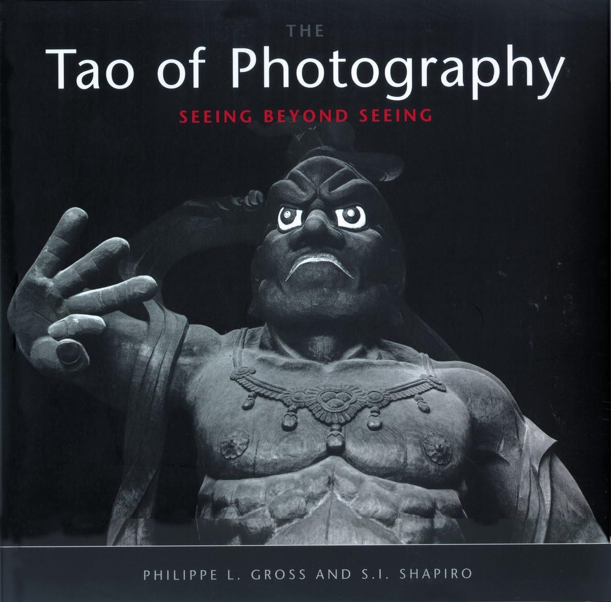 Tao of Photography: Seeing Beyond Seeing - 6882