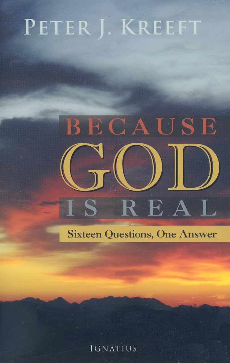 Because God Is Real: Sixteen Questions, One Answer - 7312