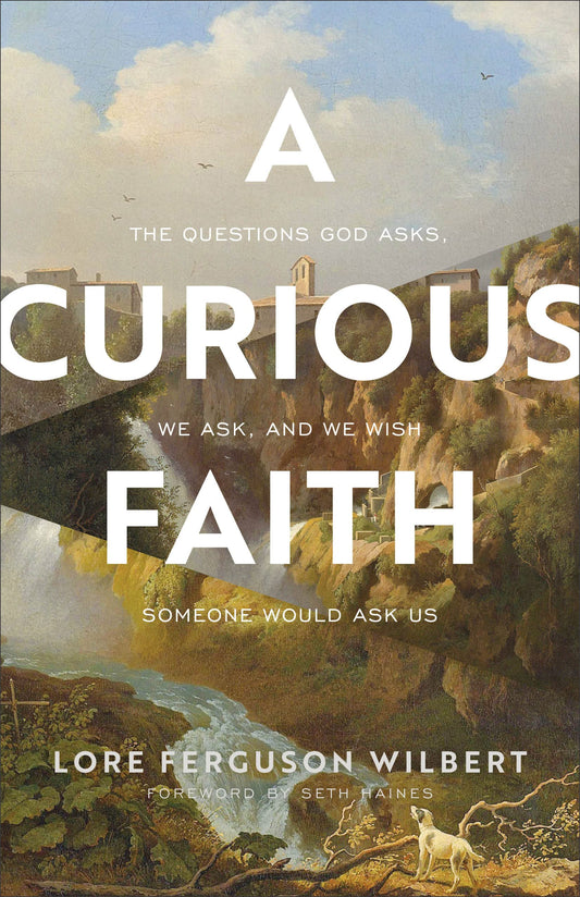 Curious Faith - 8218