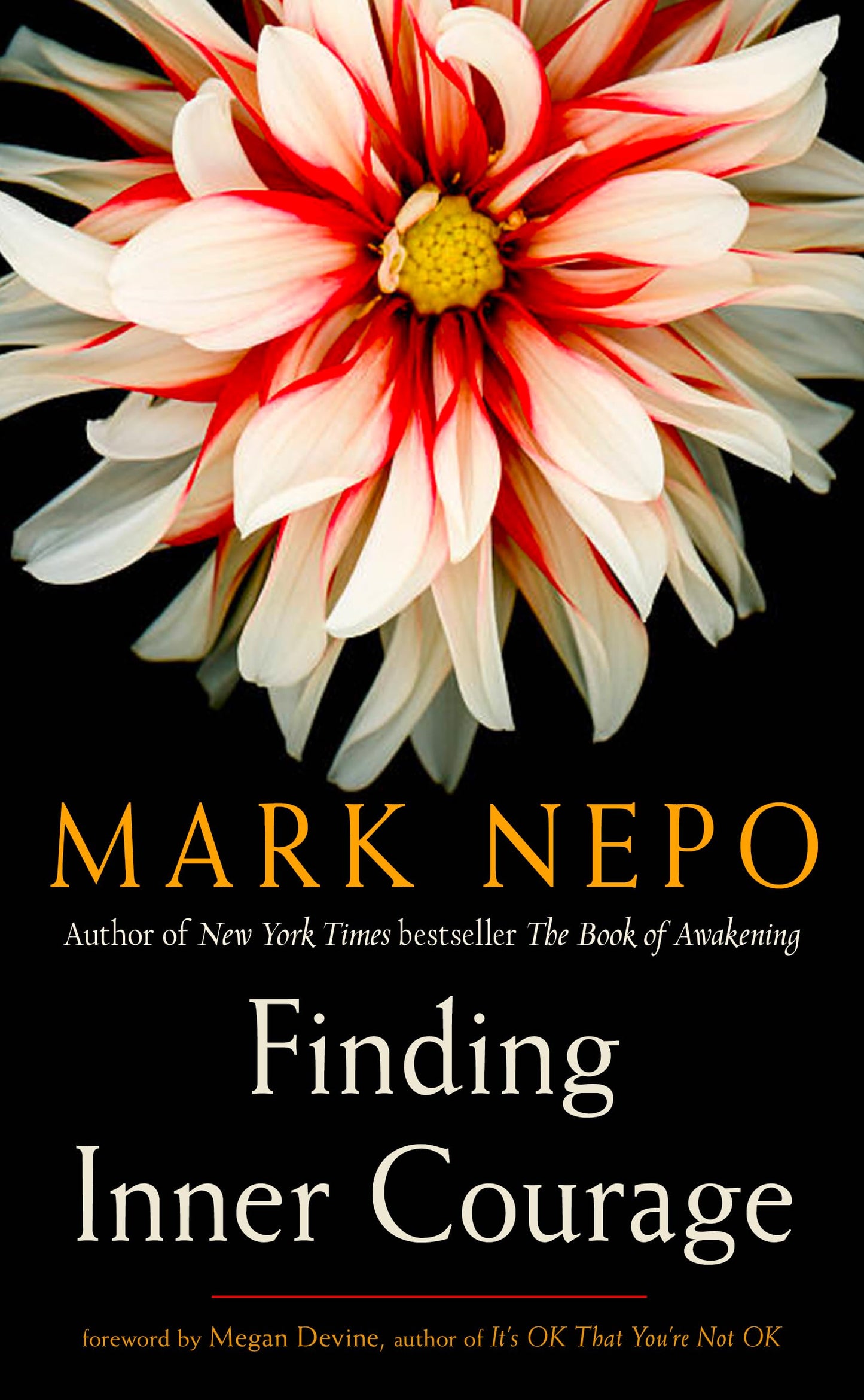 Finding Inner Courage - 451