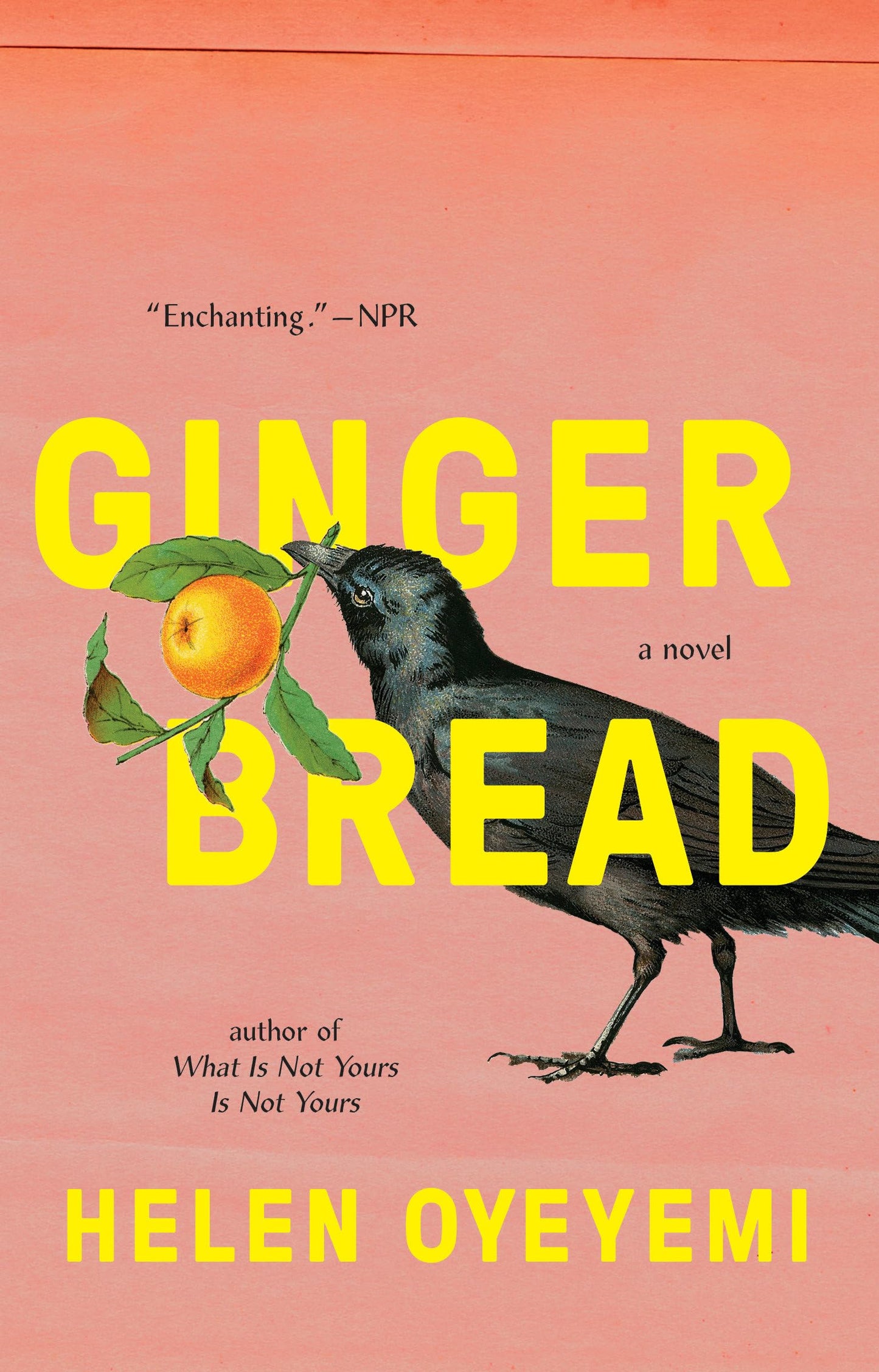 Gingerbread: A Novel - 2235
